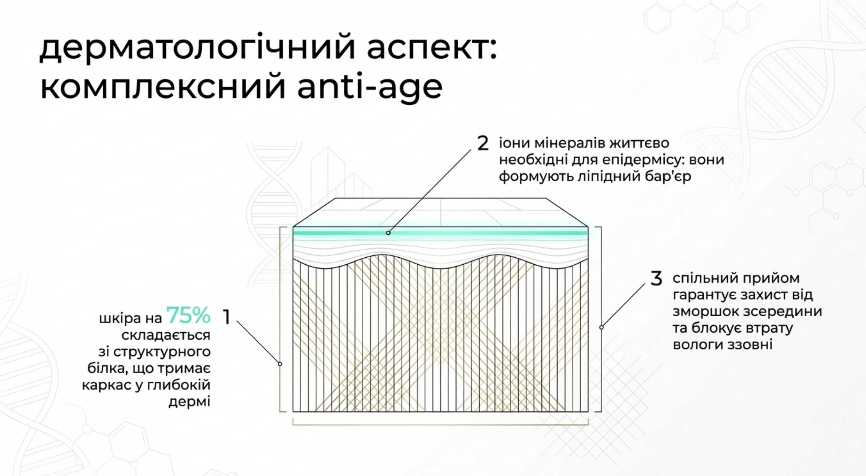 Дерматологічний аспект. Еластичність і зволоження