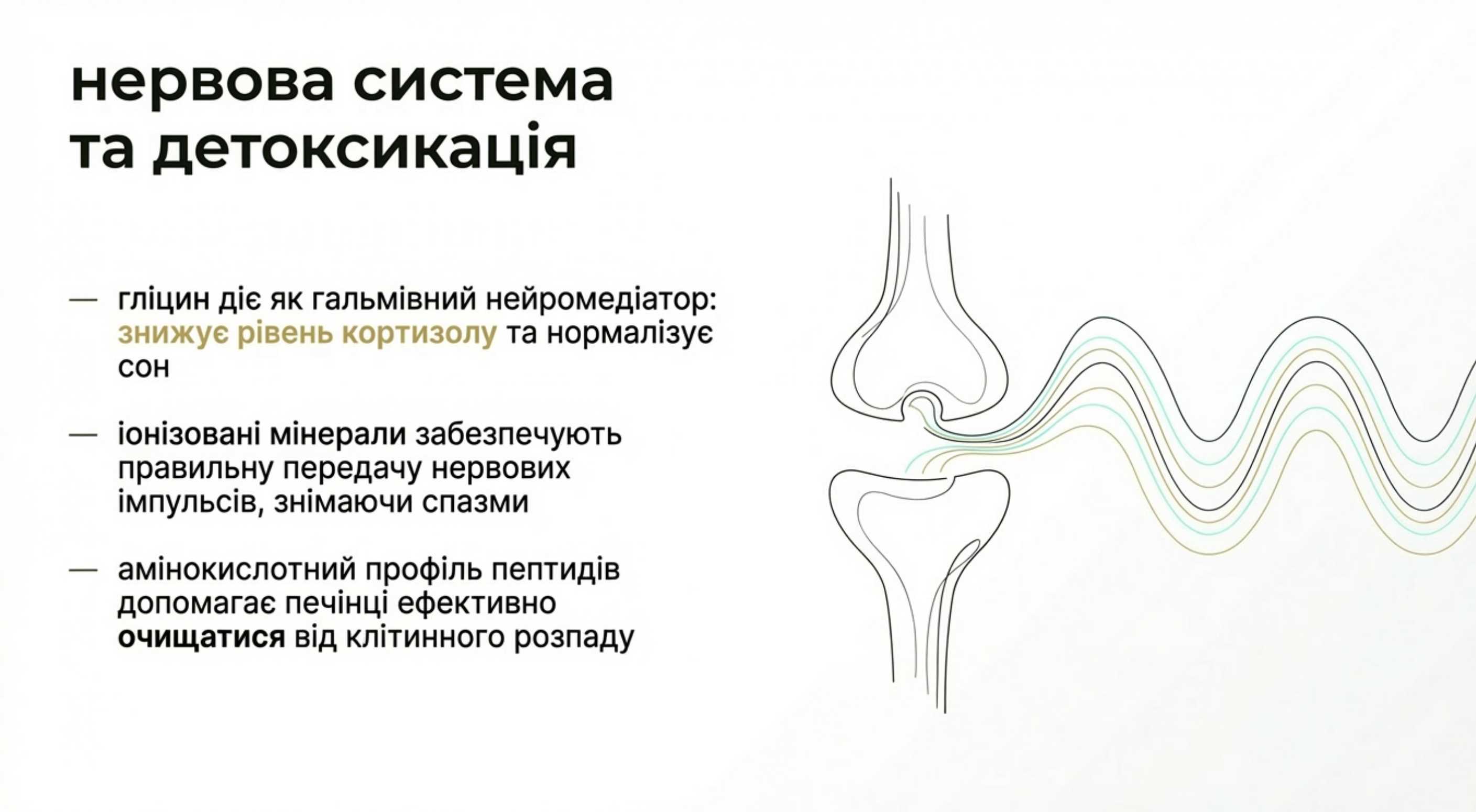 Нервова система і детоксикація