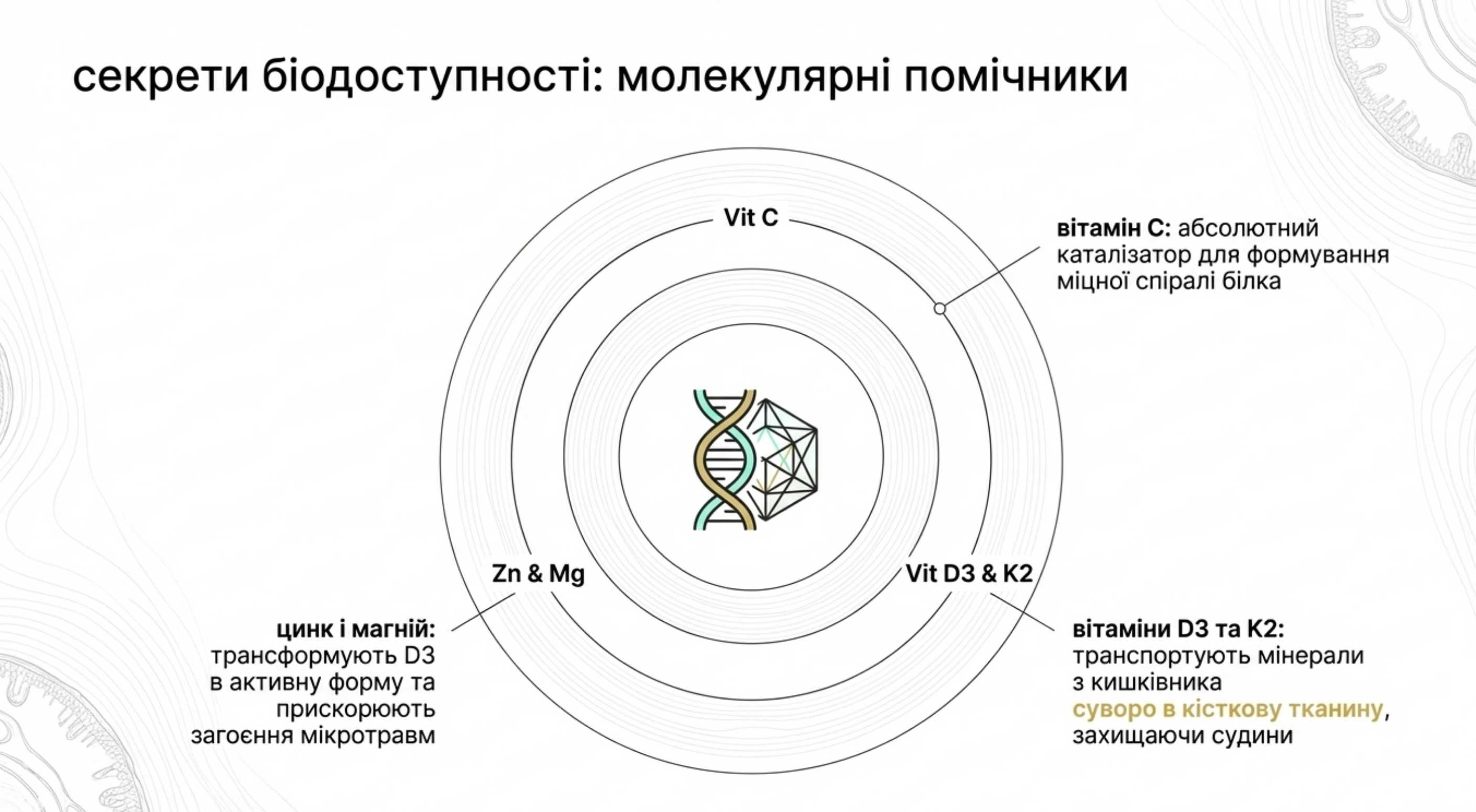 Секрети біодоступності: