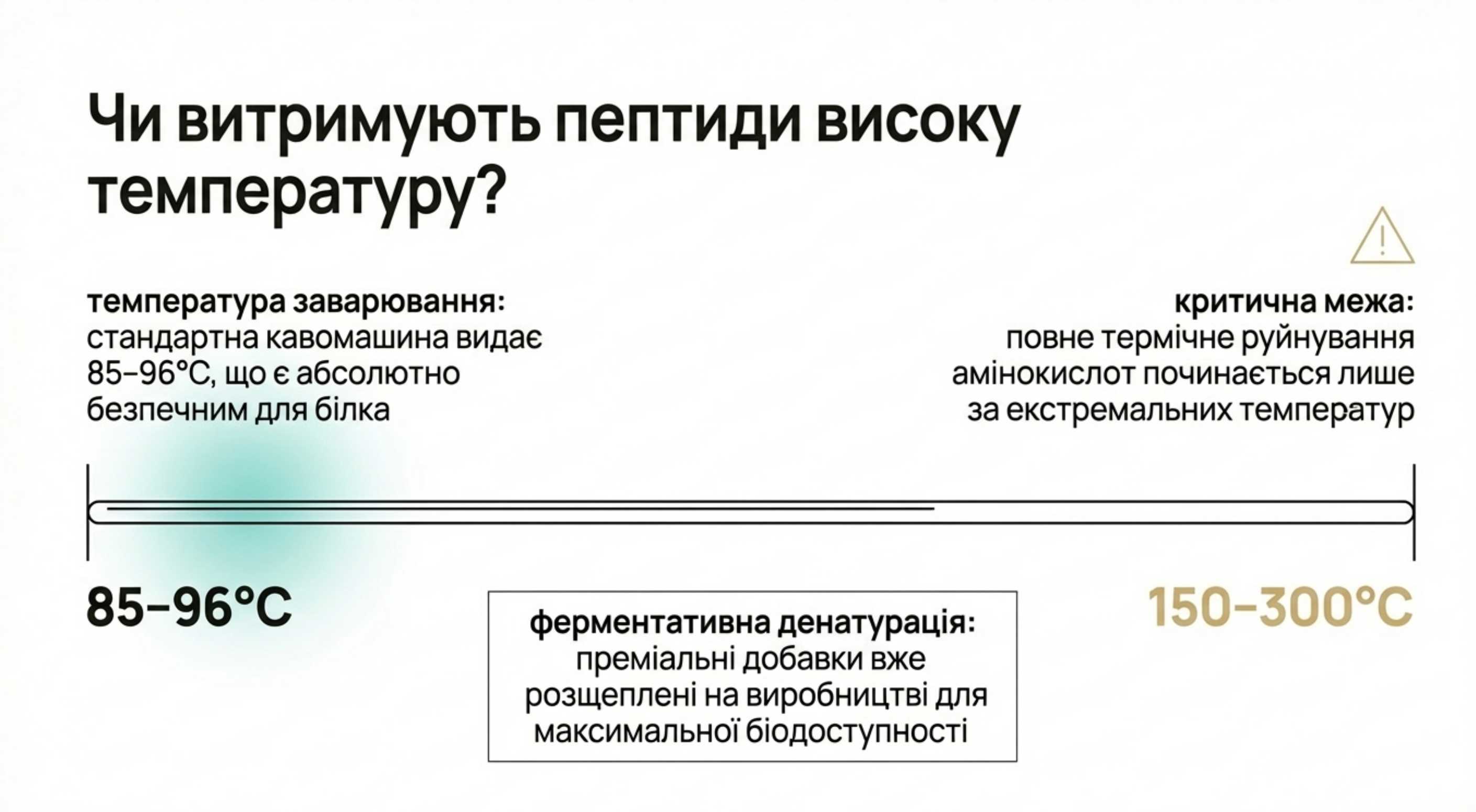 Термічна стабільність. Витримують чи пептиди високу температуру?