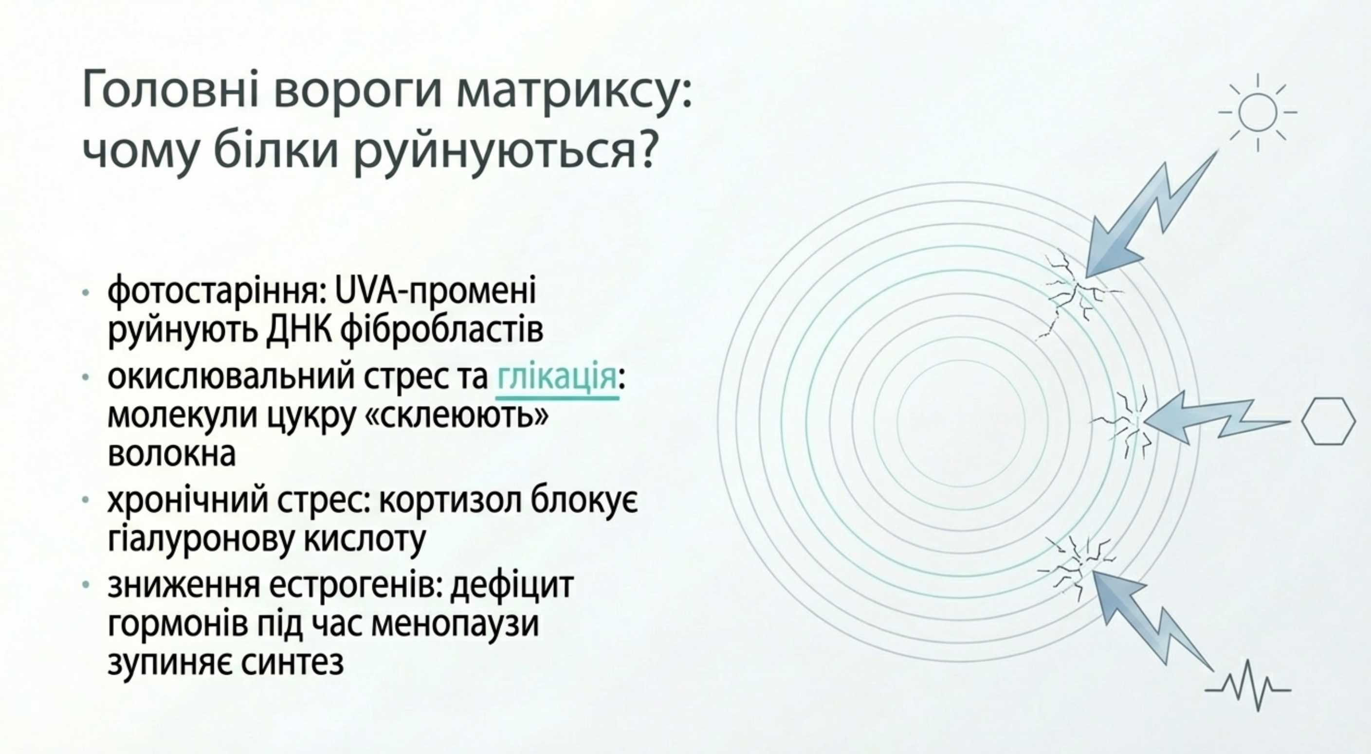 Головні вороги матрикса. Чому білки руйнуються?
