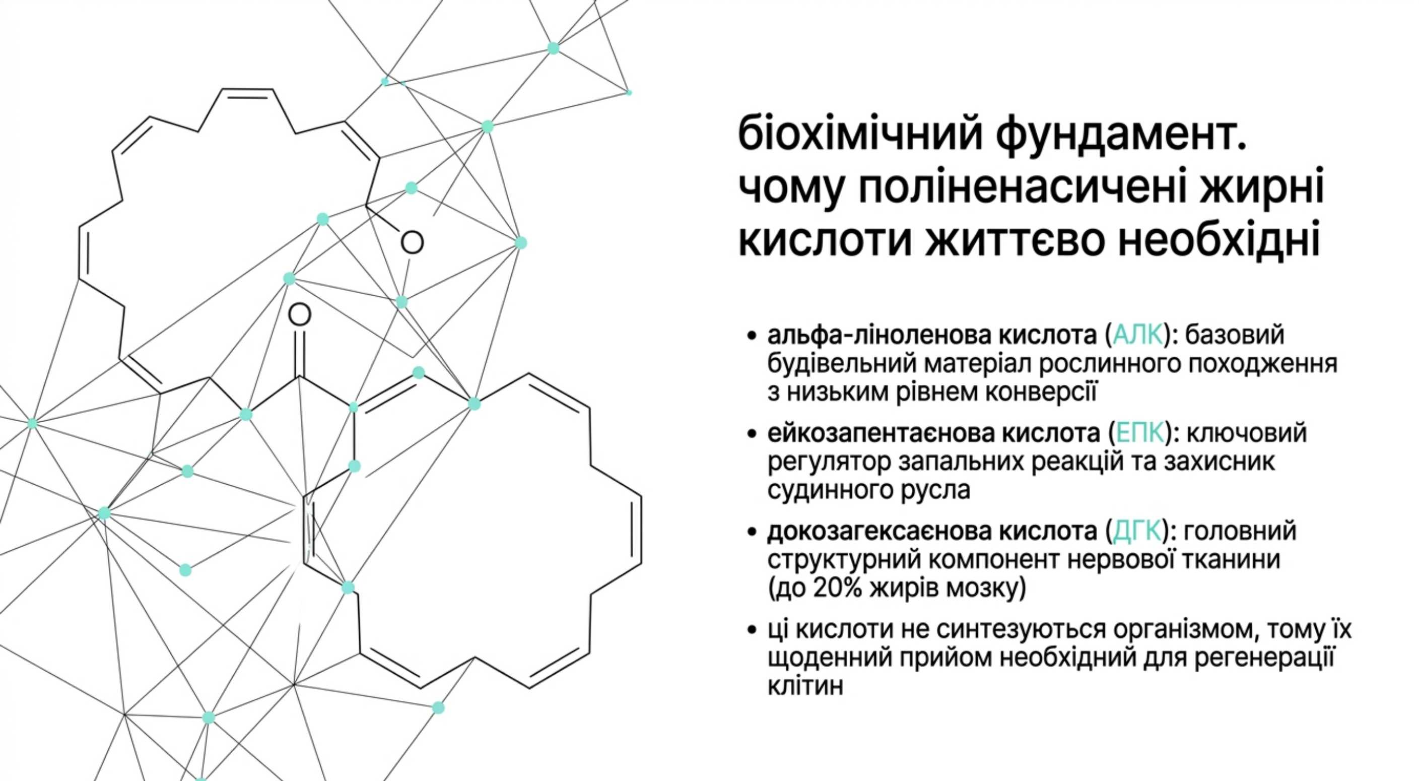 Біохімічний фундамент. Чому поліненасичені жирні кислоти життєво необхідні