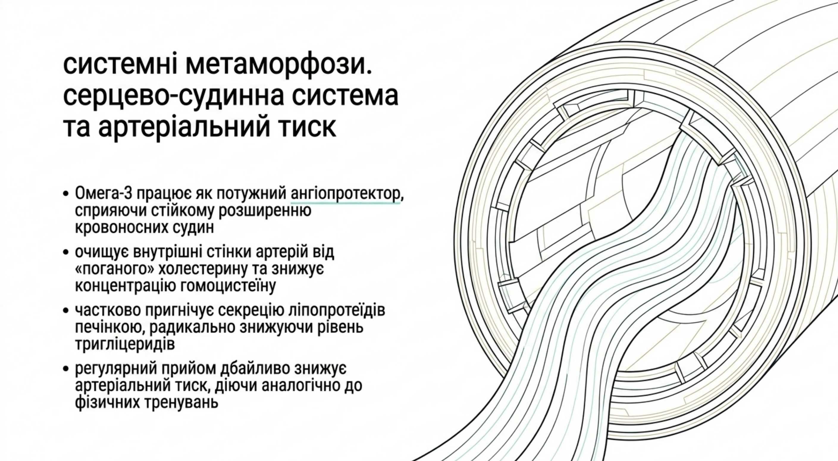 Системні метаморфози. Що буде, якщо кожен день пити риб'ячий жир