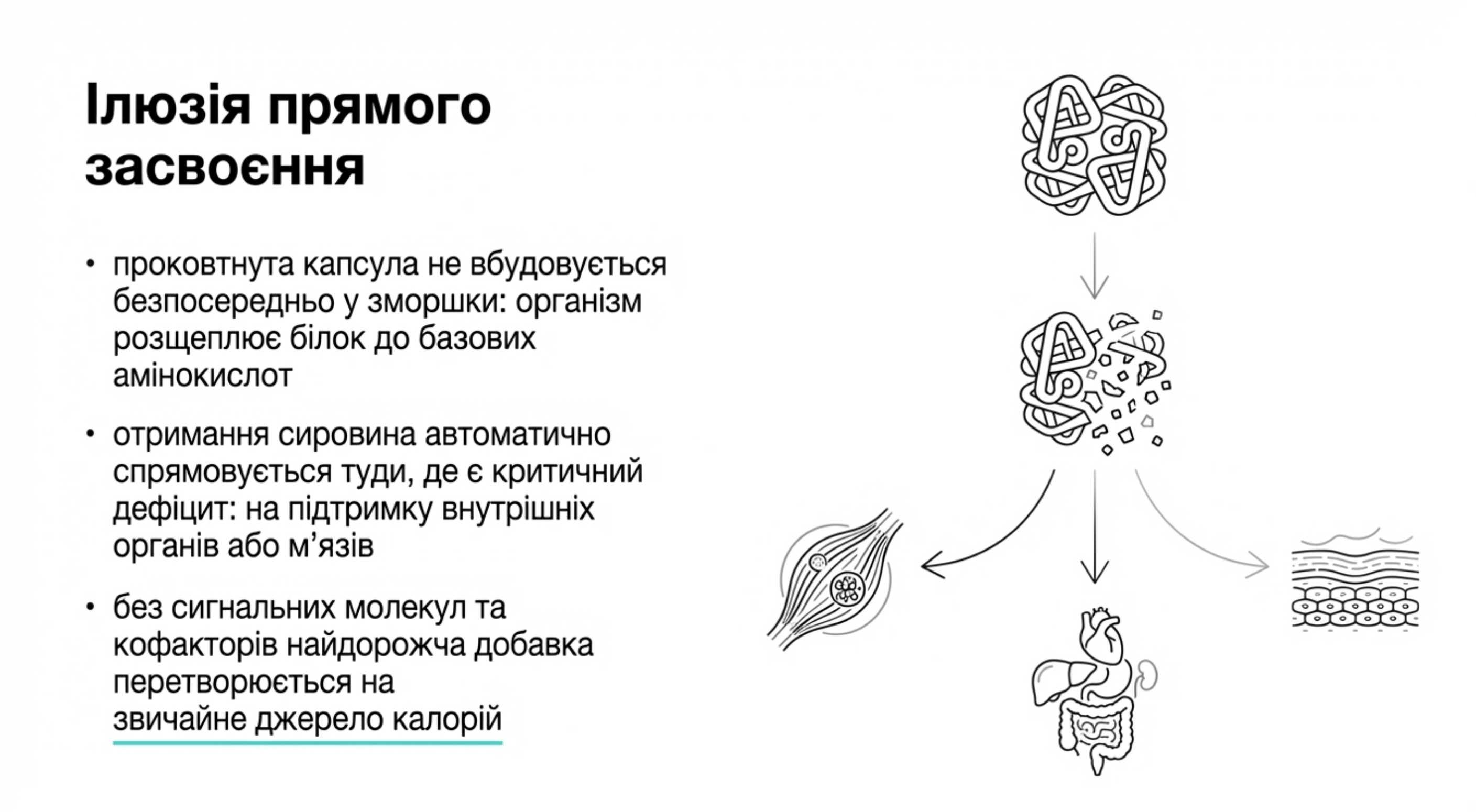 Ілюзія прямого засвоєння