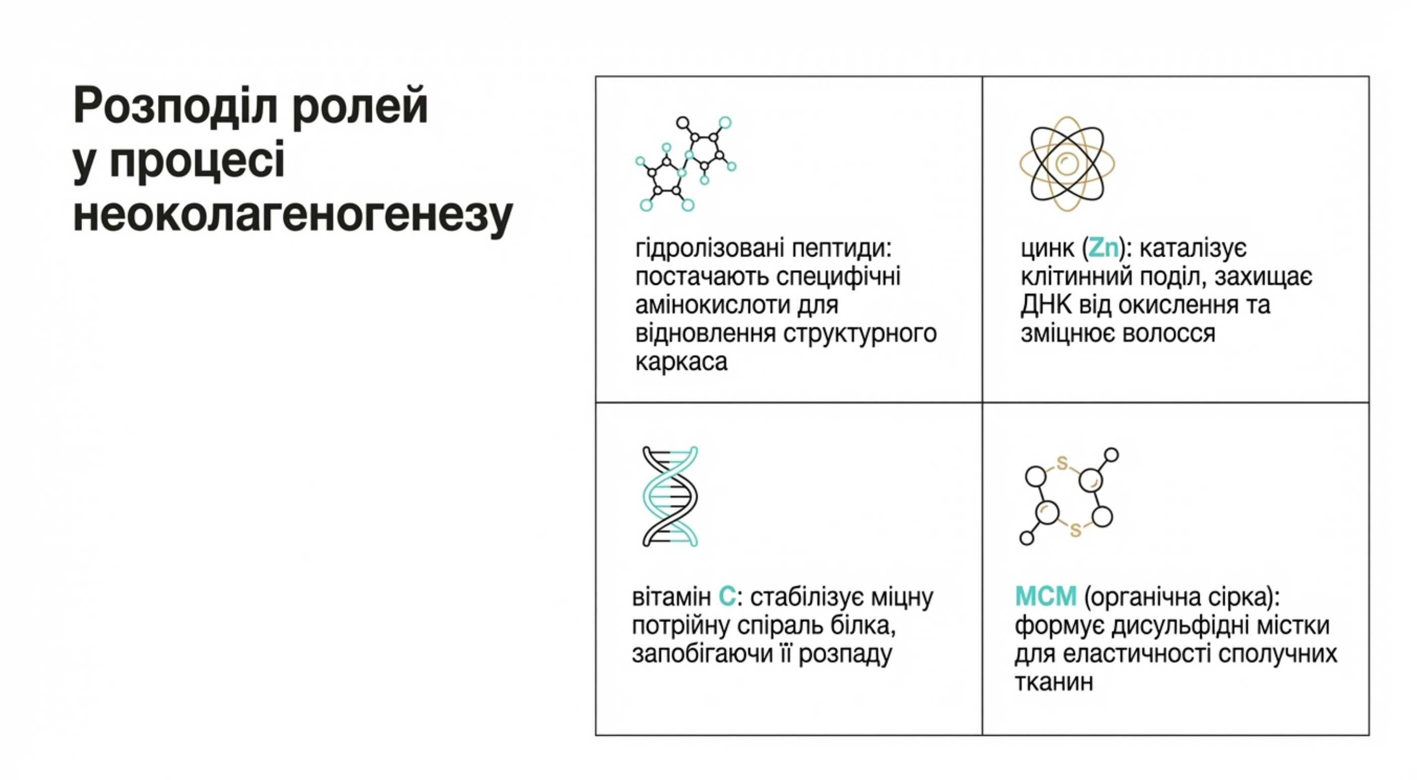 Фундаментальна роль цинку в синтезі білка