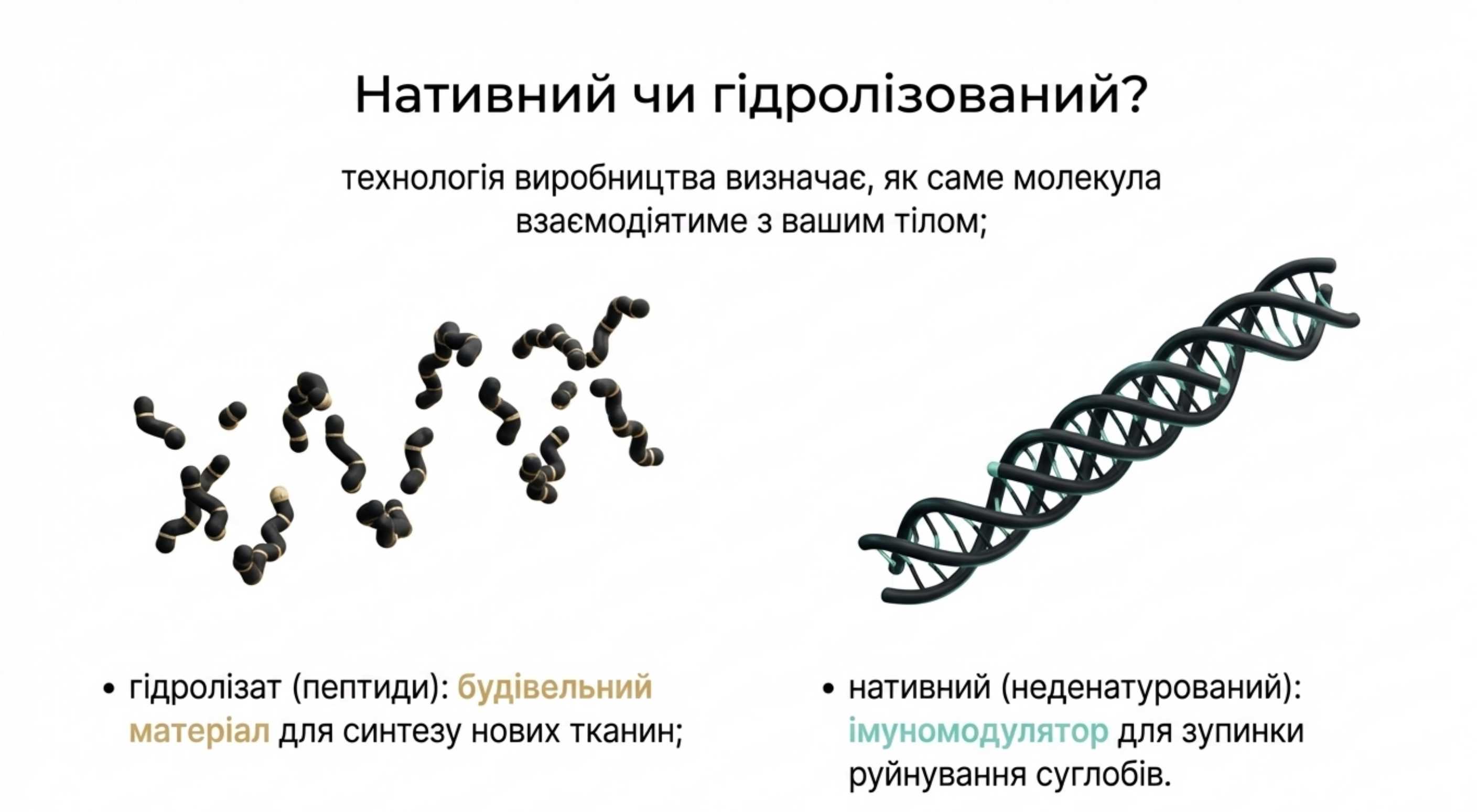Фундаментальна різниця. Нативний або гідролізований коллаген курячий?
