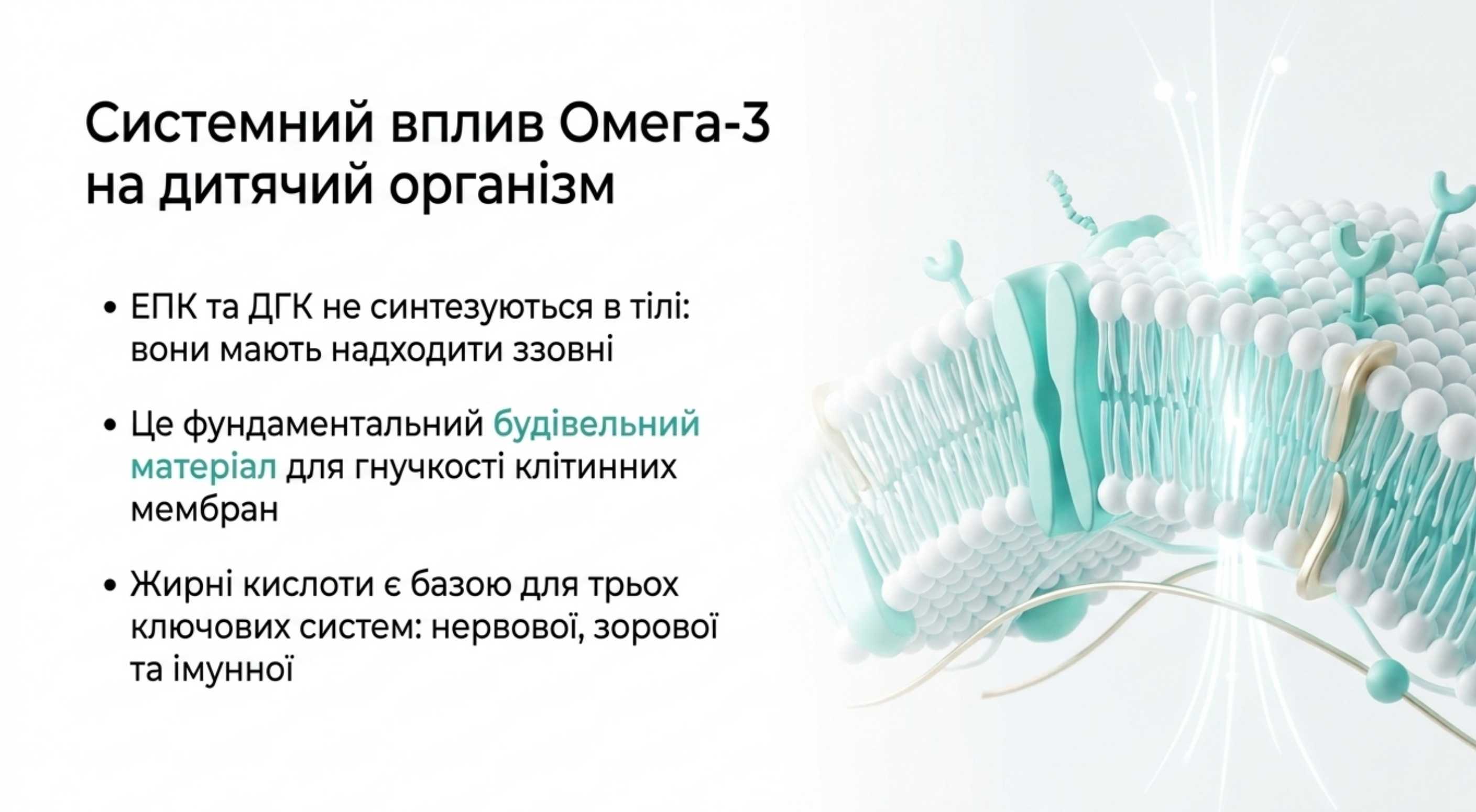 Системний вплив Омега-3 на дитячий організм. Фізіологічні механізми