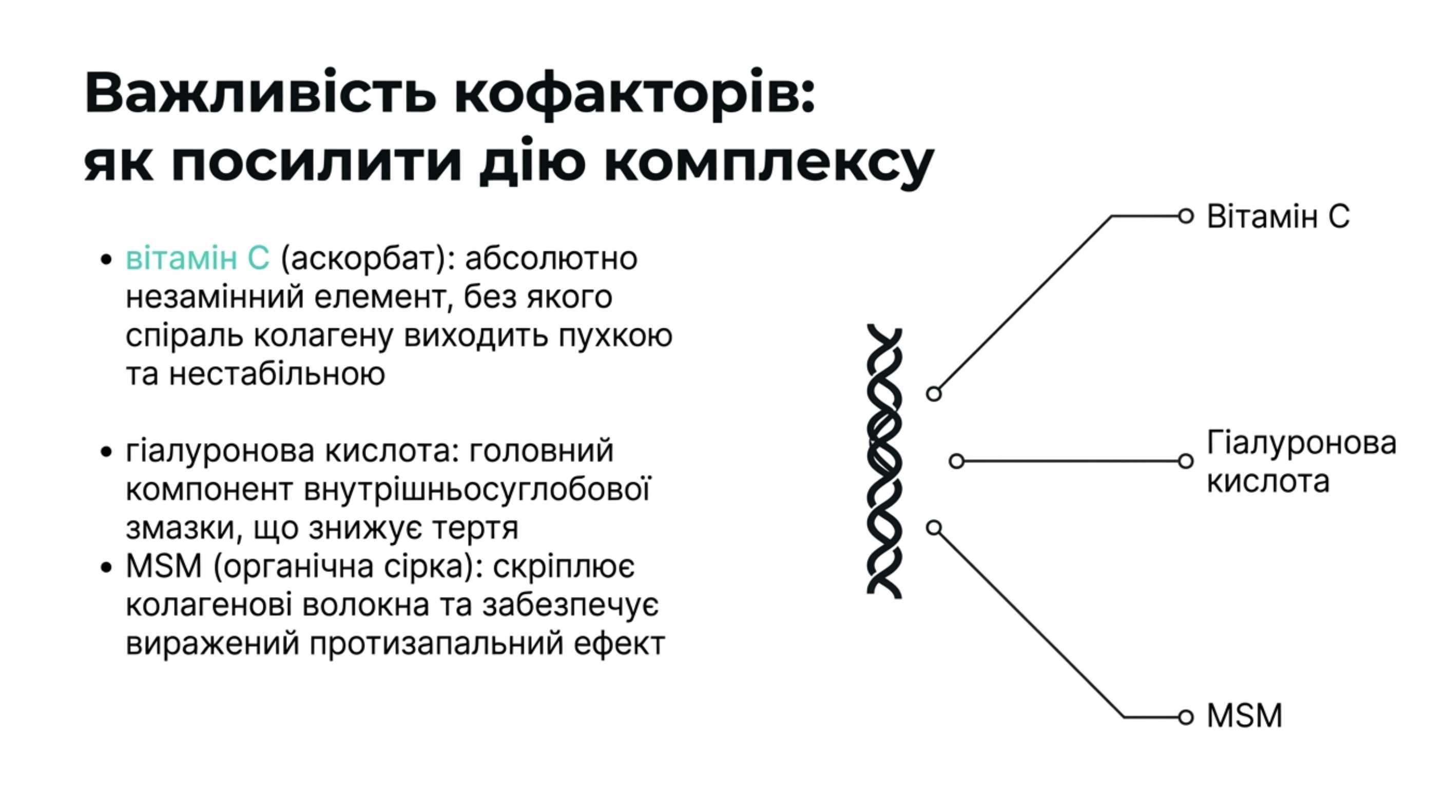 Синергія відновлення. Чому варто вибирати хондропротектори з колагеном