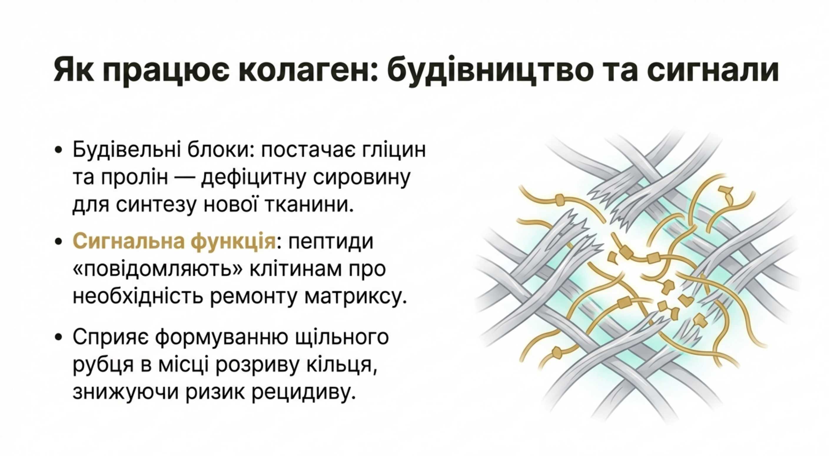 Біологічний механізм дії