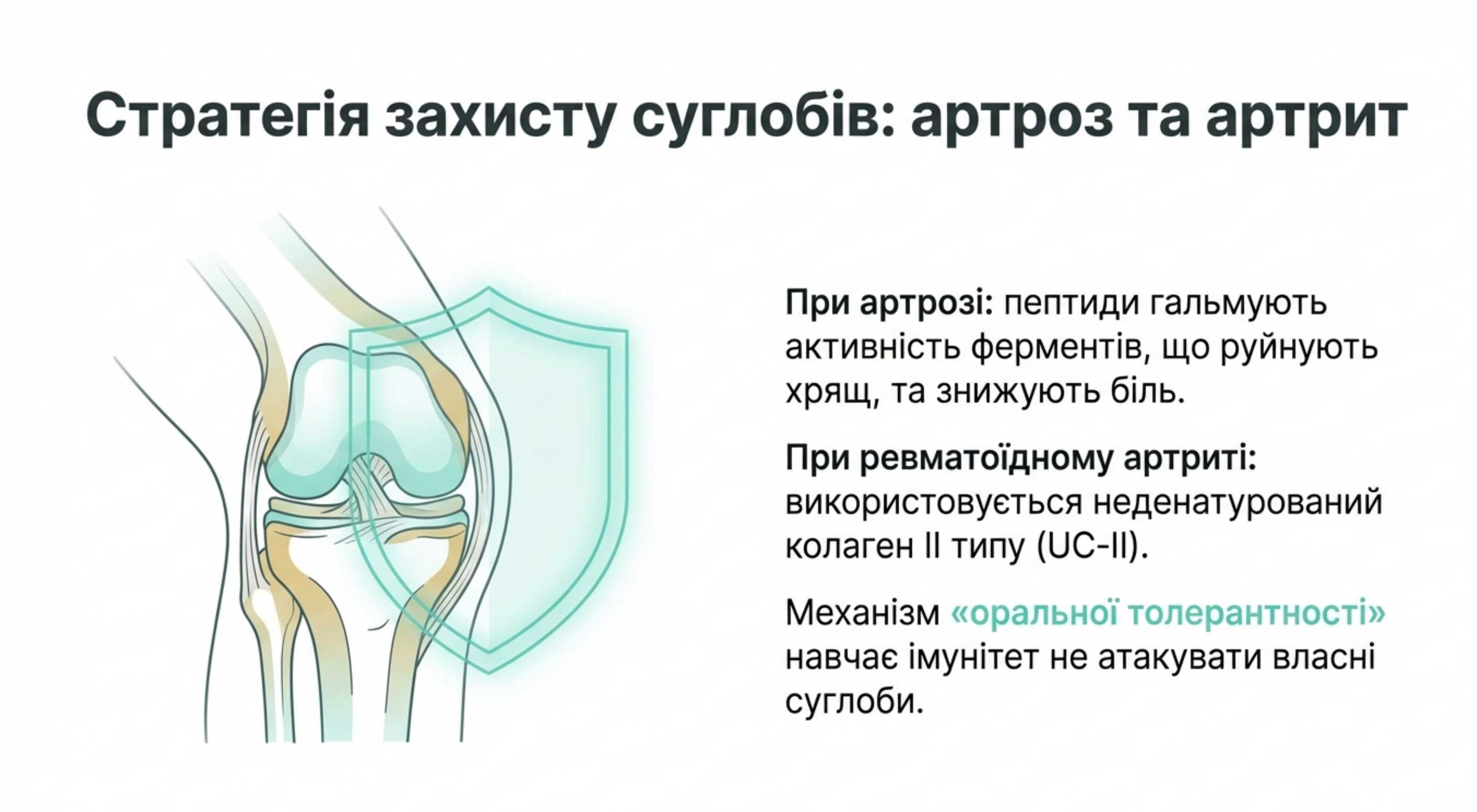 Артроз і здоров'я суглобів