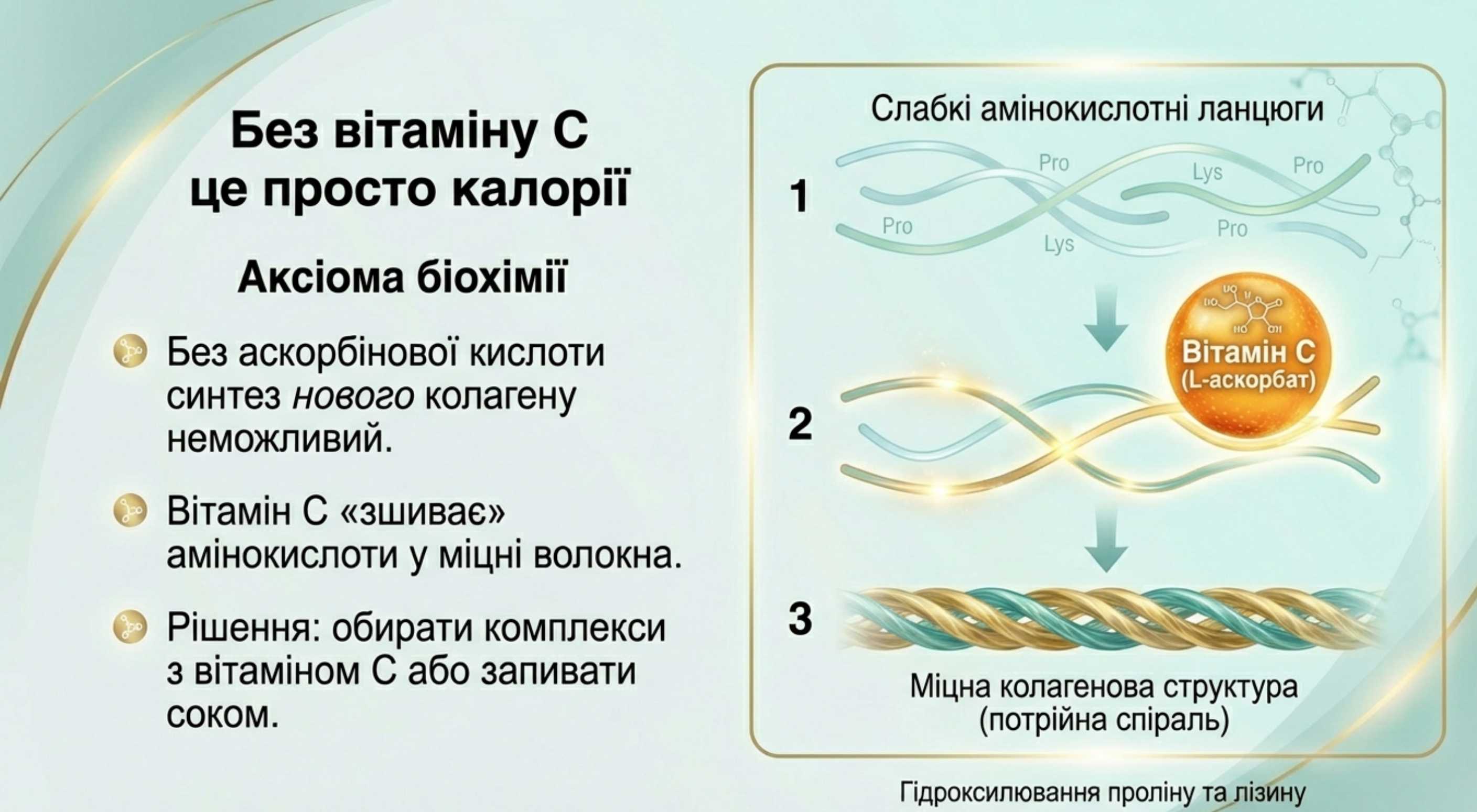 Роль Вітаміну С