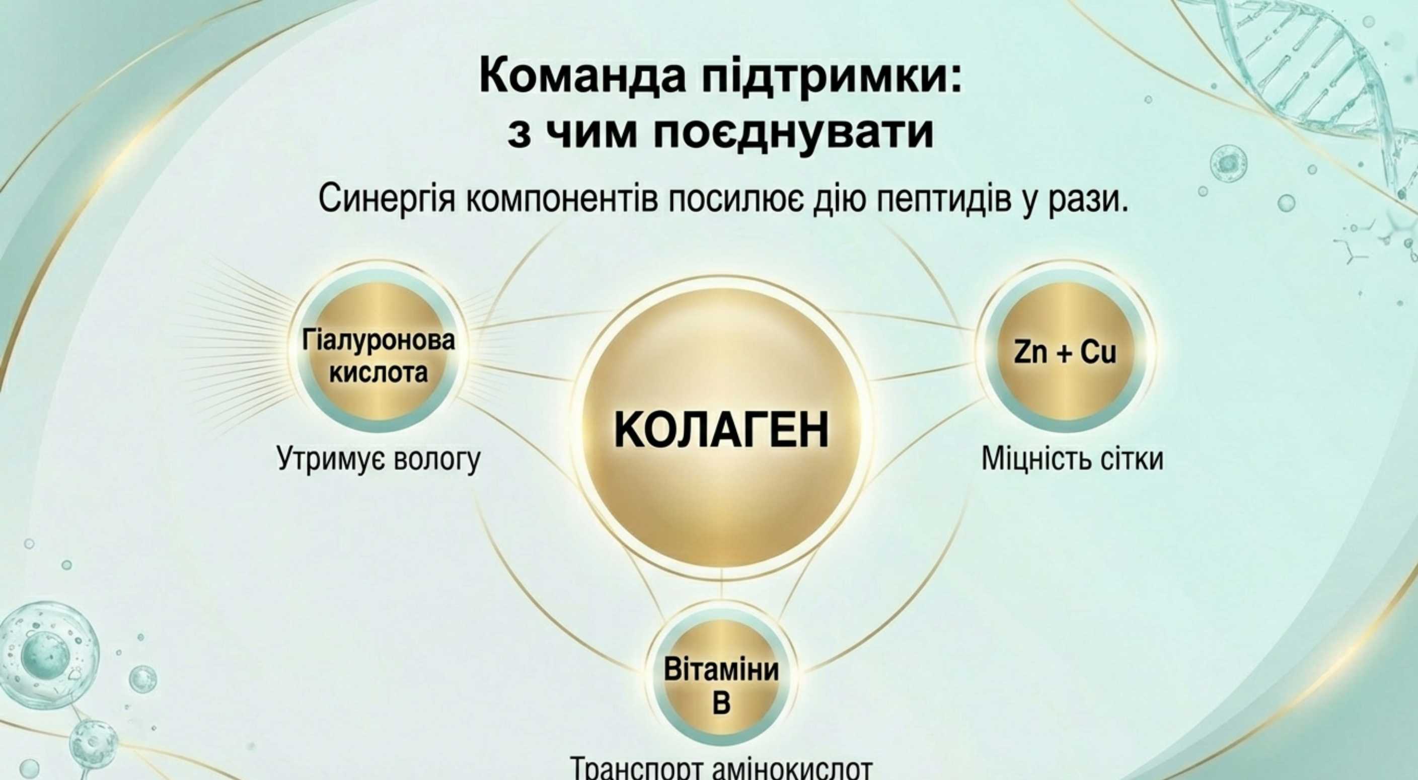 Критичні кофактори. З чим краще засвоюється коллаген
