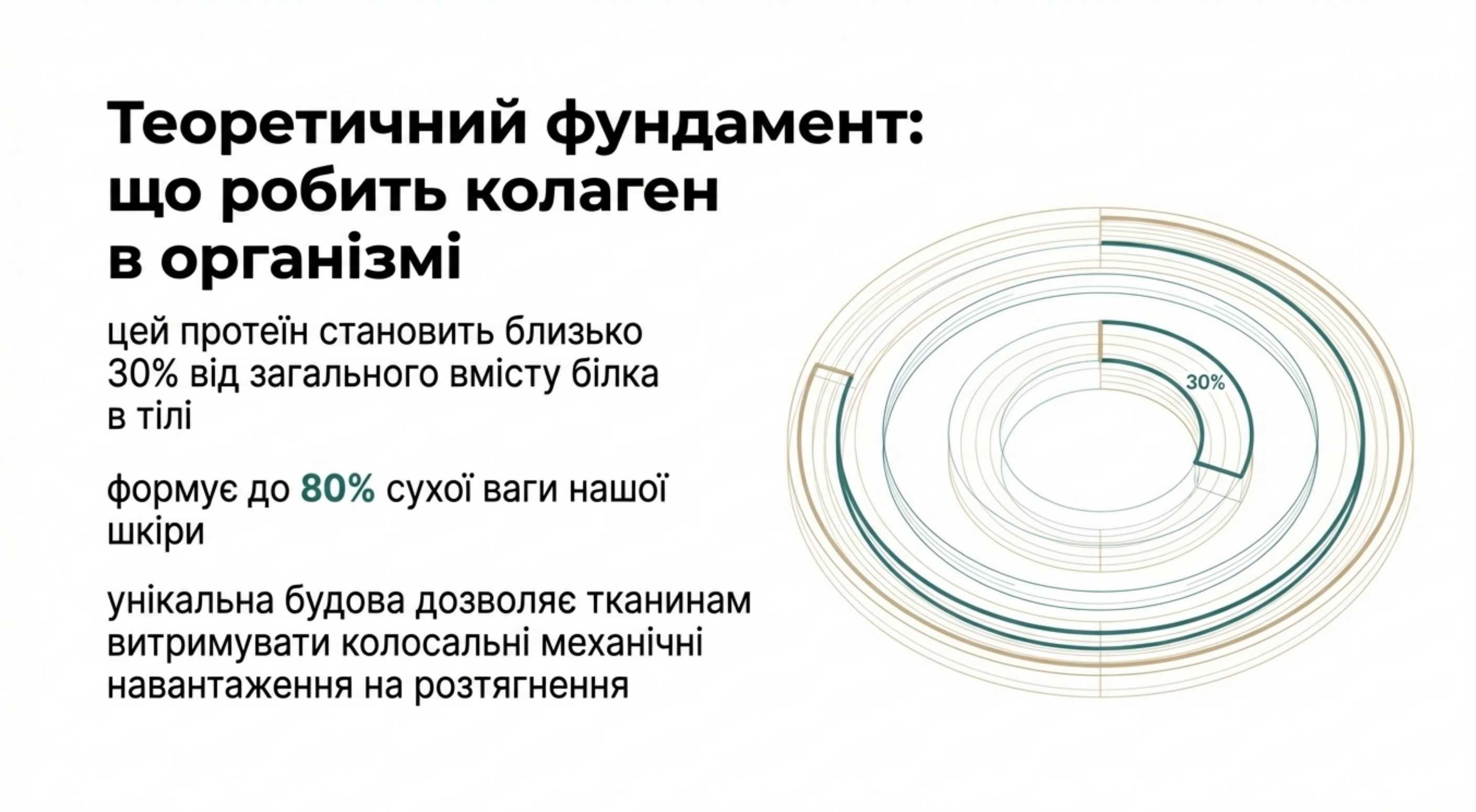 Теоретичний фундамент. Що робить коллаген в організмі