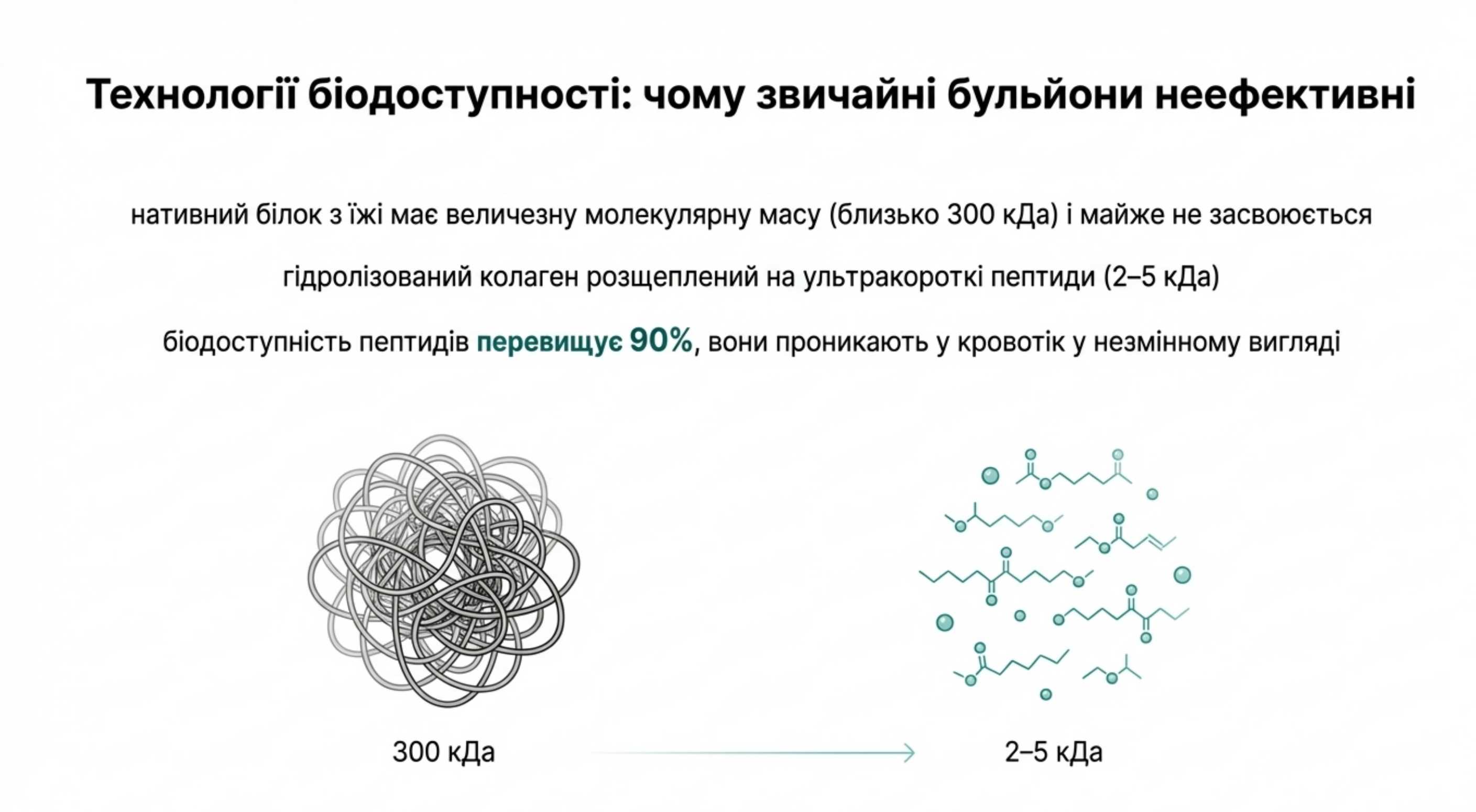 Технології біодоступності. Як впливає коллаген на організм в різних формах