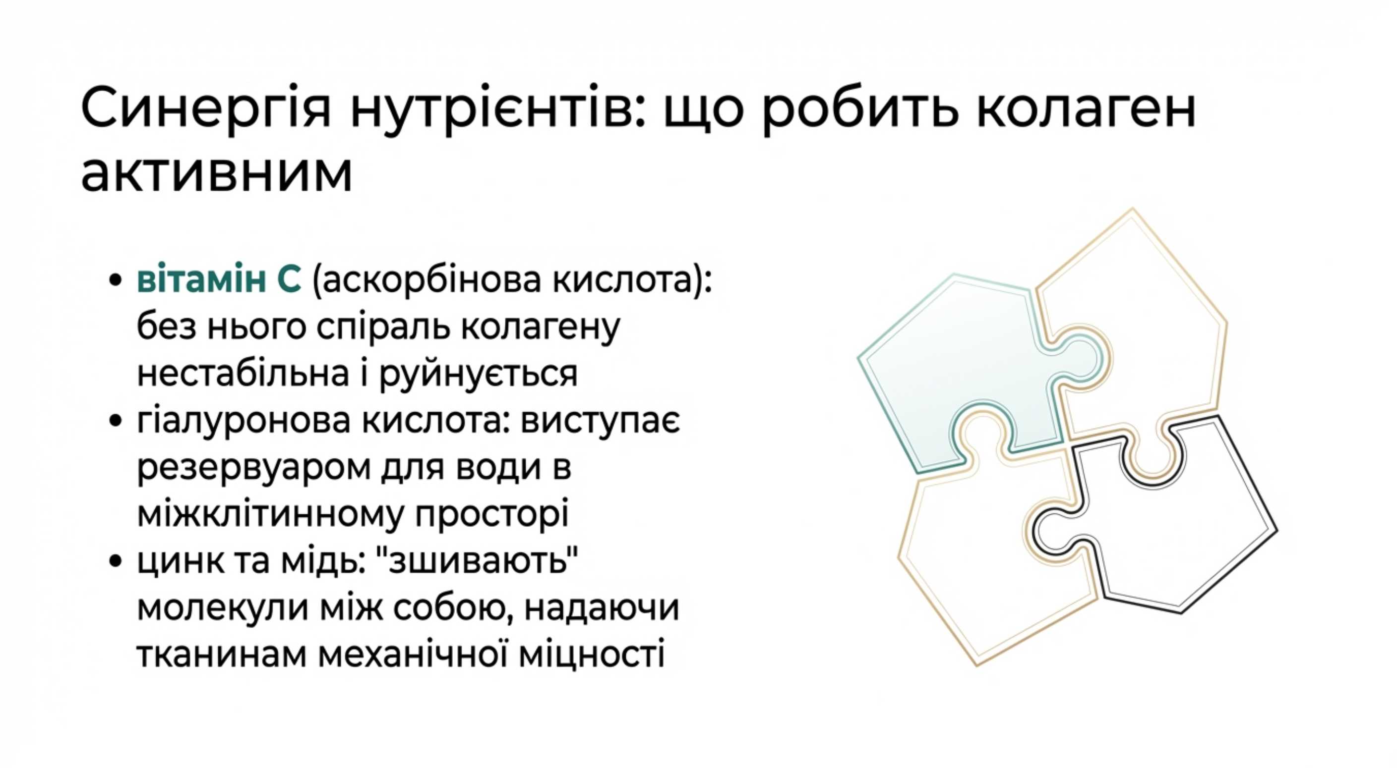 Синергія нутрієнтів. Що робить коллаген в організмі при підтримці кофакторів