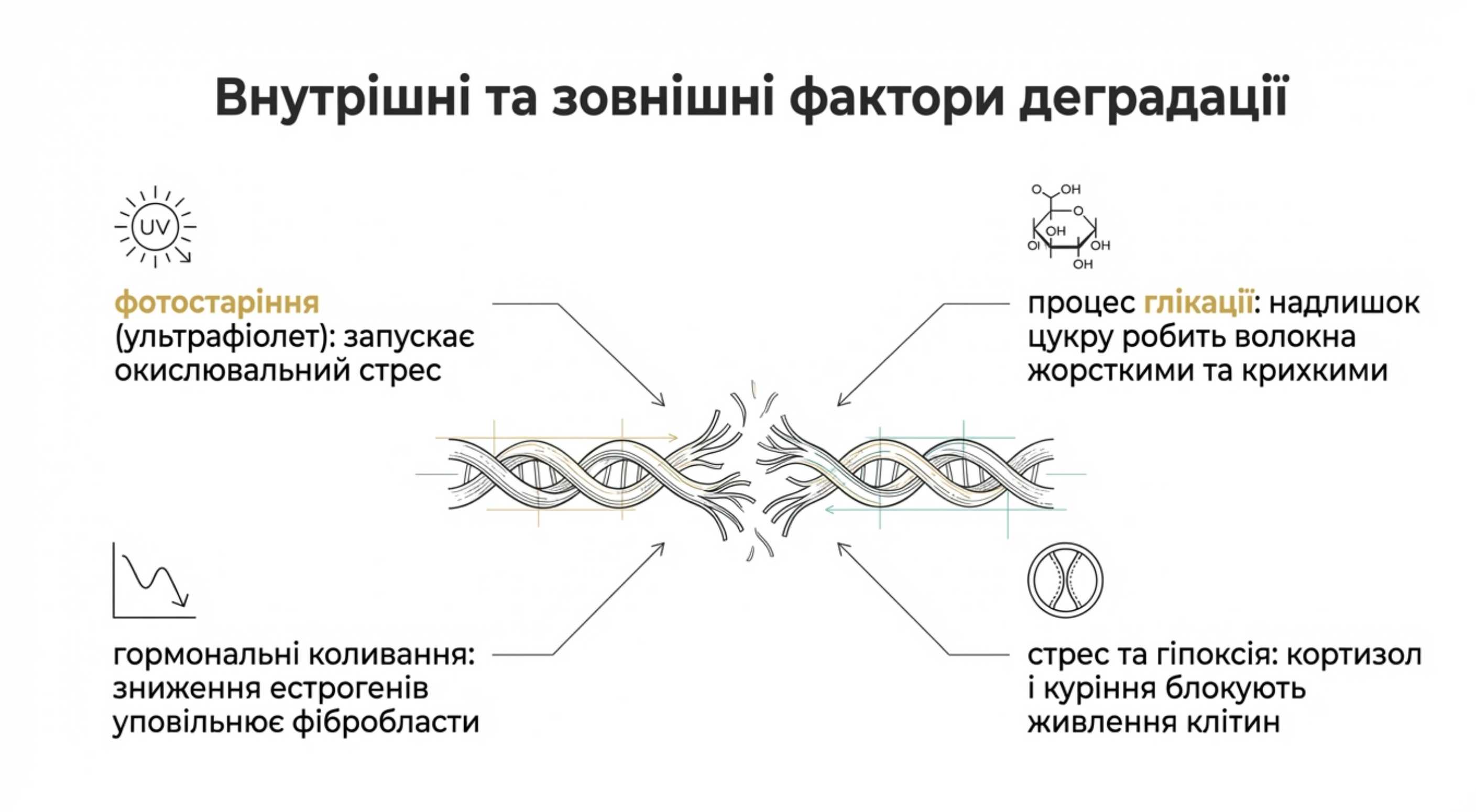 Зовнішні і внутрішні фактори деградації