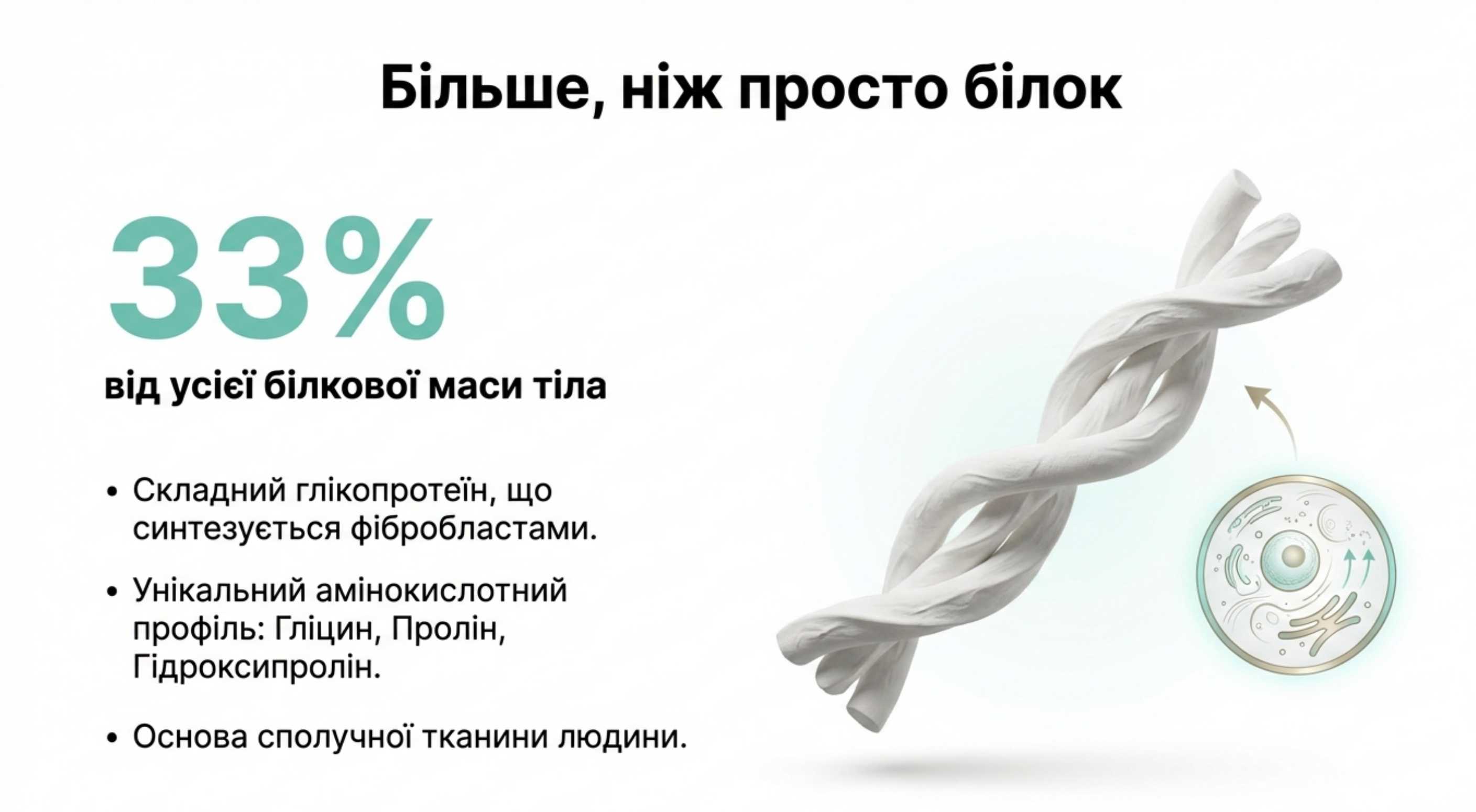 Що таке коллагенові волокна. Біохімія та структура