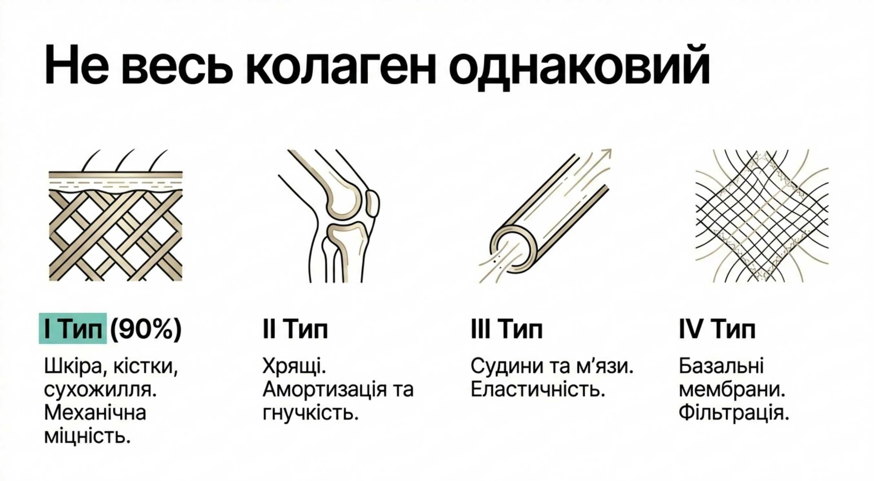 Класифікація. Чому не весь коллаген однаковий