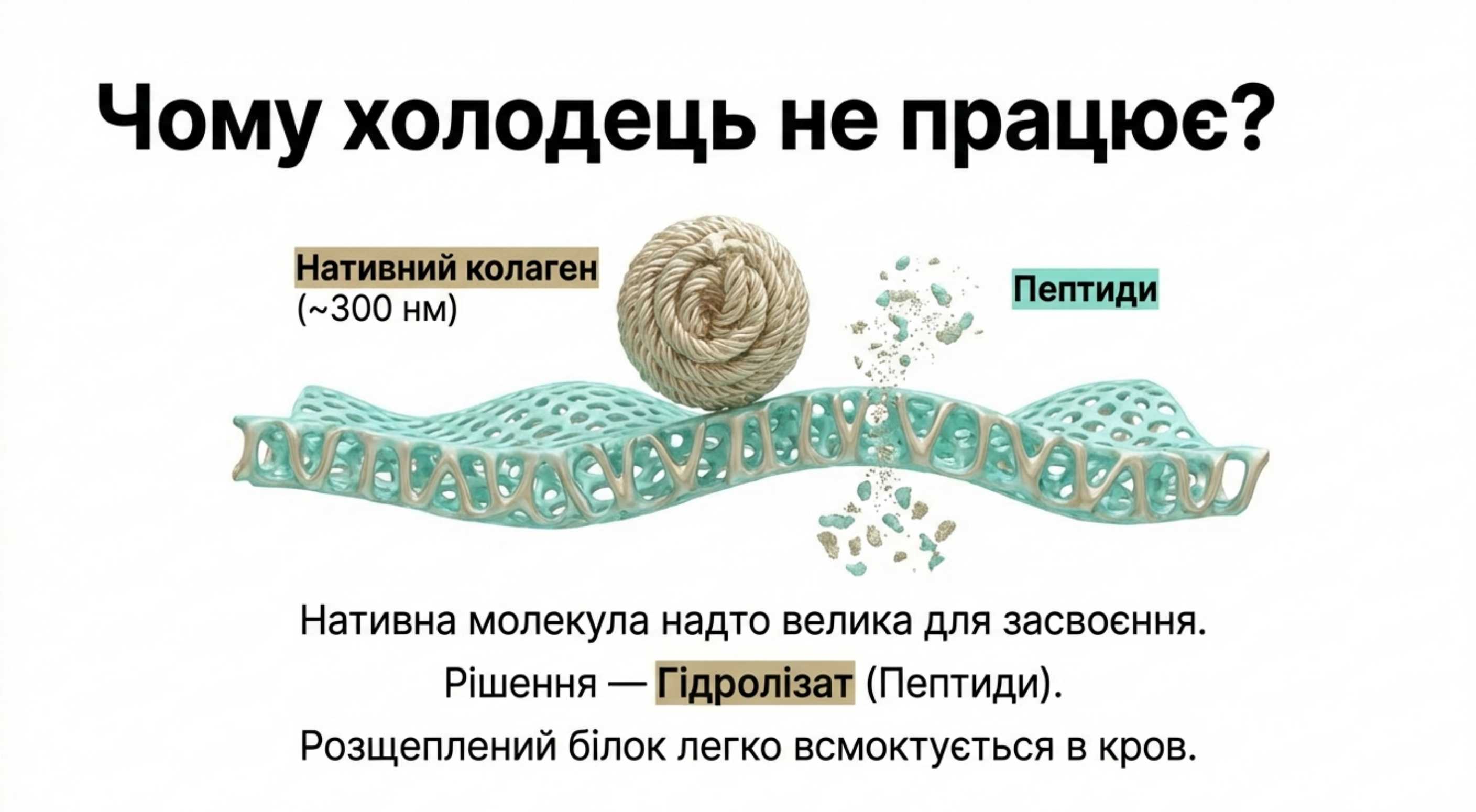 Чому ми втрачаємо коллаген. Вороги вашої молодості