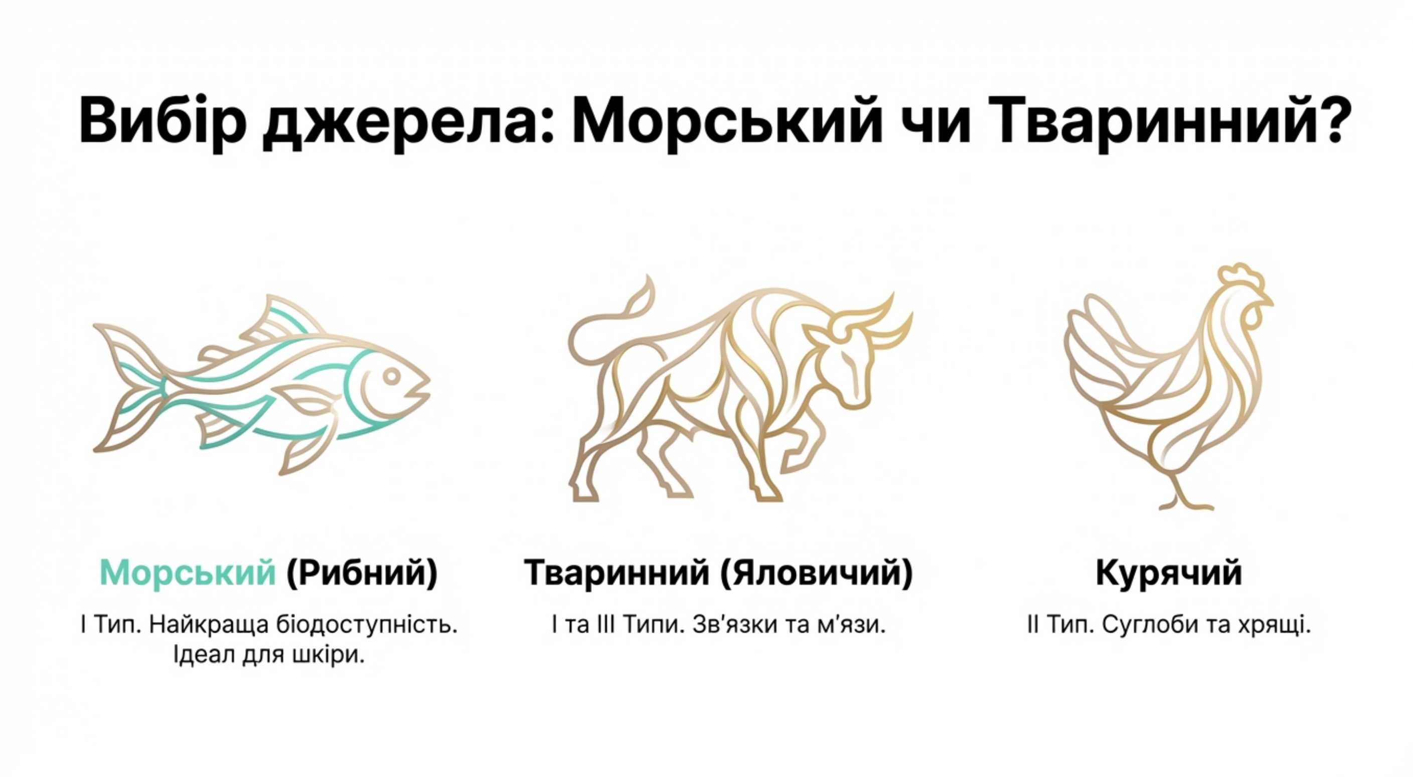 1. Нутрицевтична підтримка (БАДи)