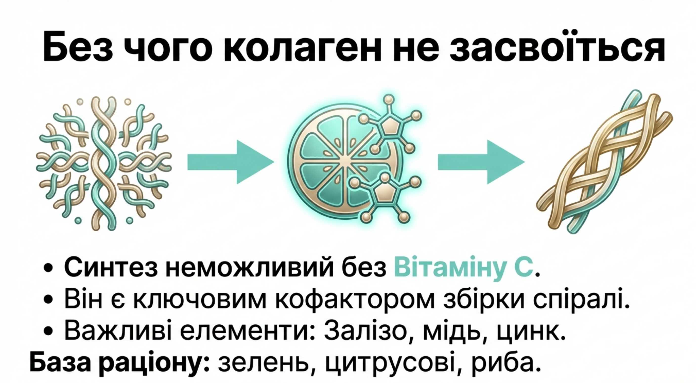 3. Дієта для синтезу