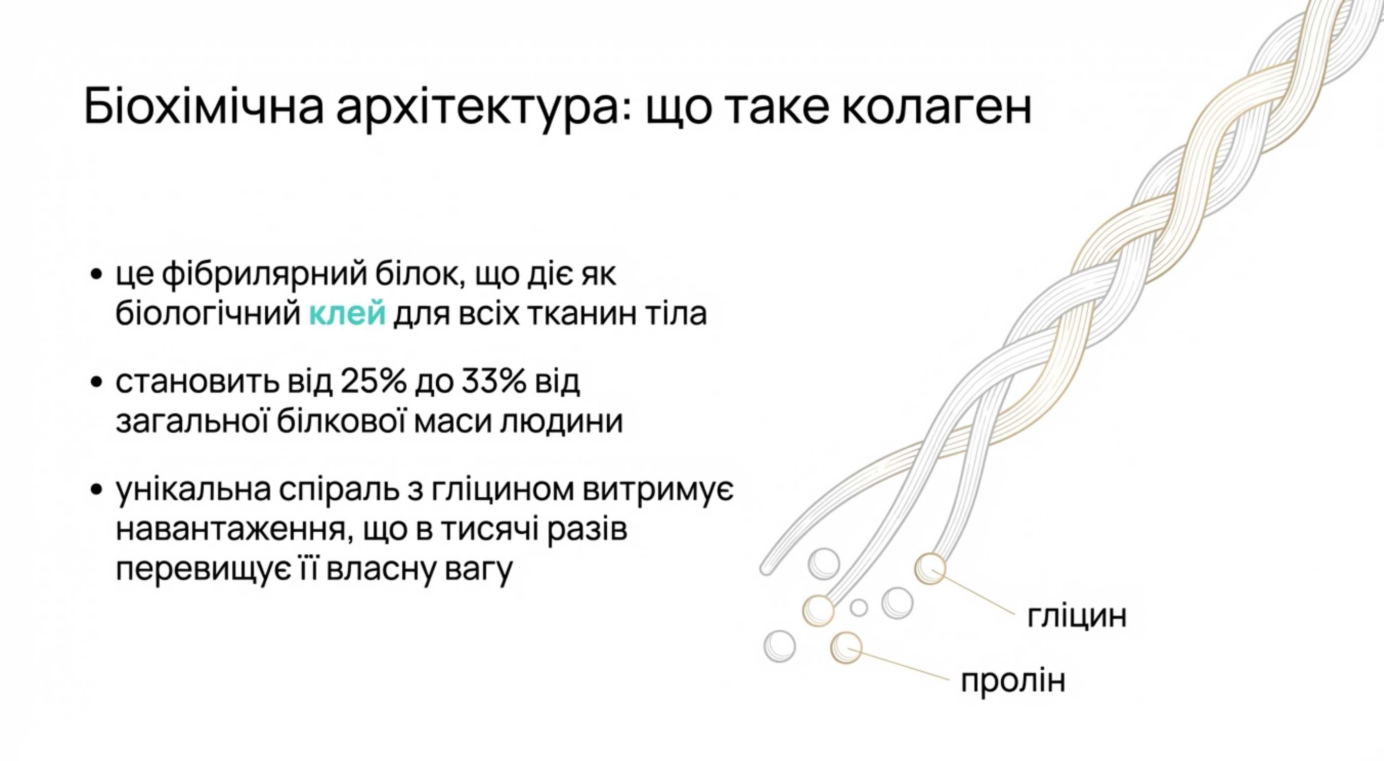Біохімічна архітектура. Що таке коллаген насправді
