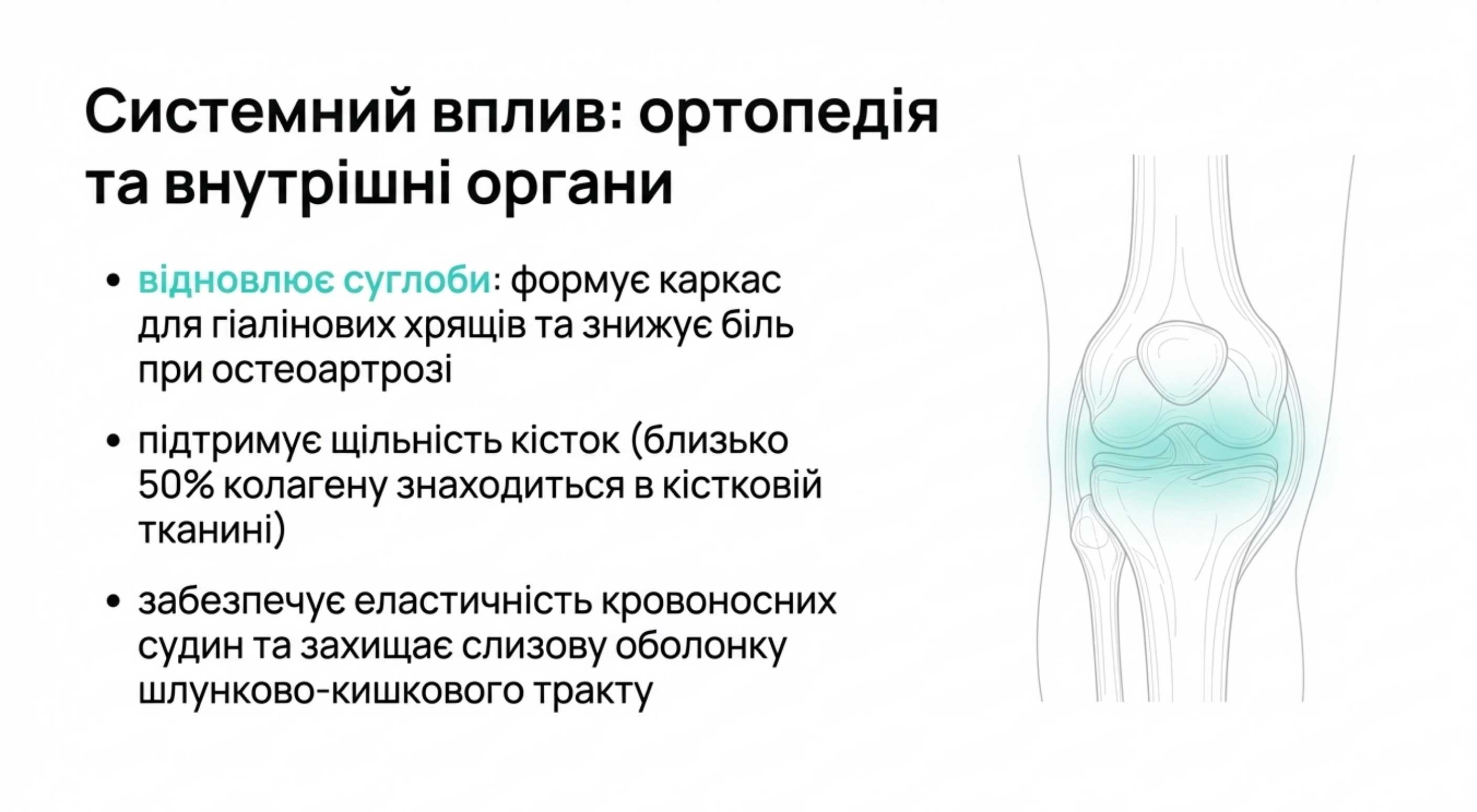 Системний вплив. Коллаген від чого допомагає організму