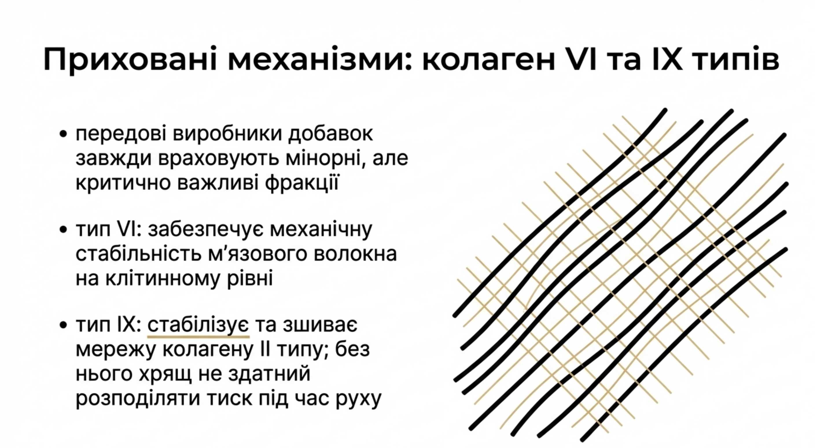 Специфічні форми. Коллаген 6 типу та коллаген 9 типу