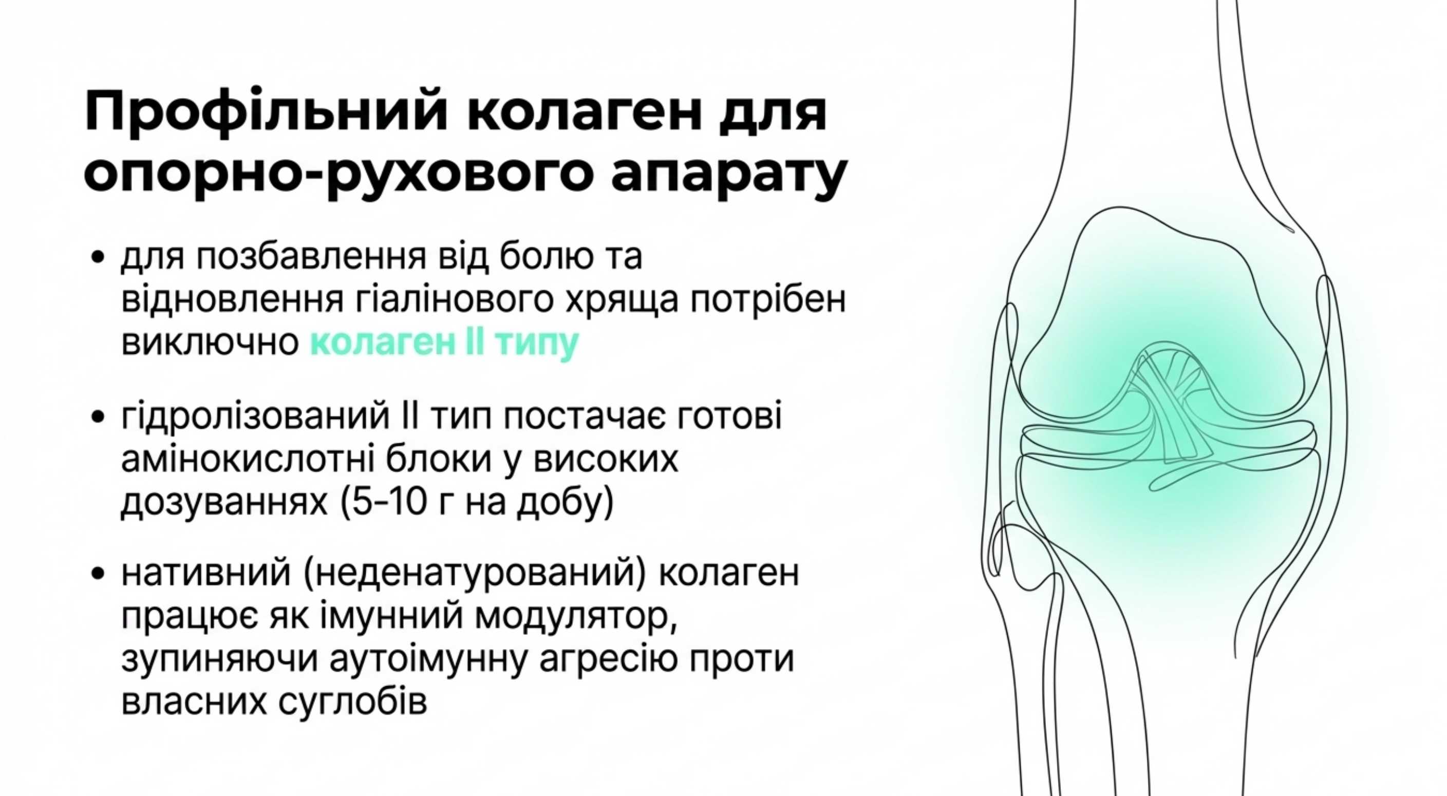 Коллаген 1, 2 та 3 типів: фундамент організму