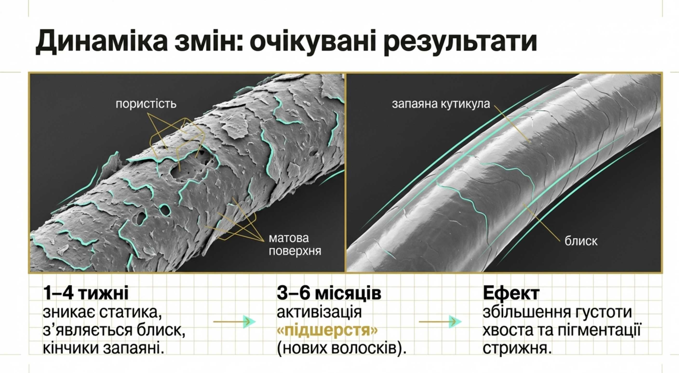Реальні показники. Коллаген для волосся до і після