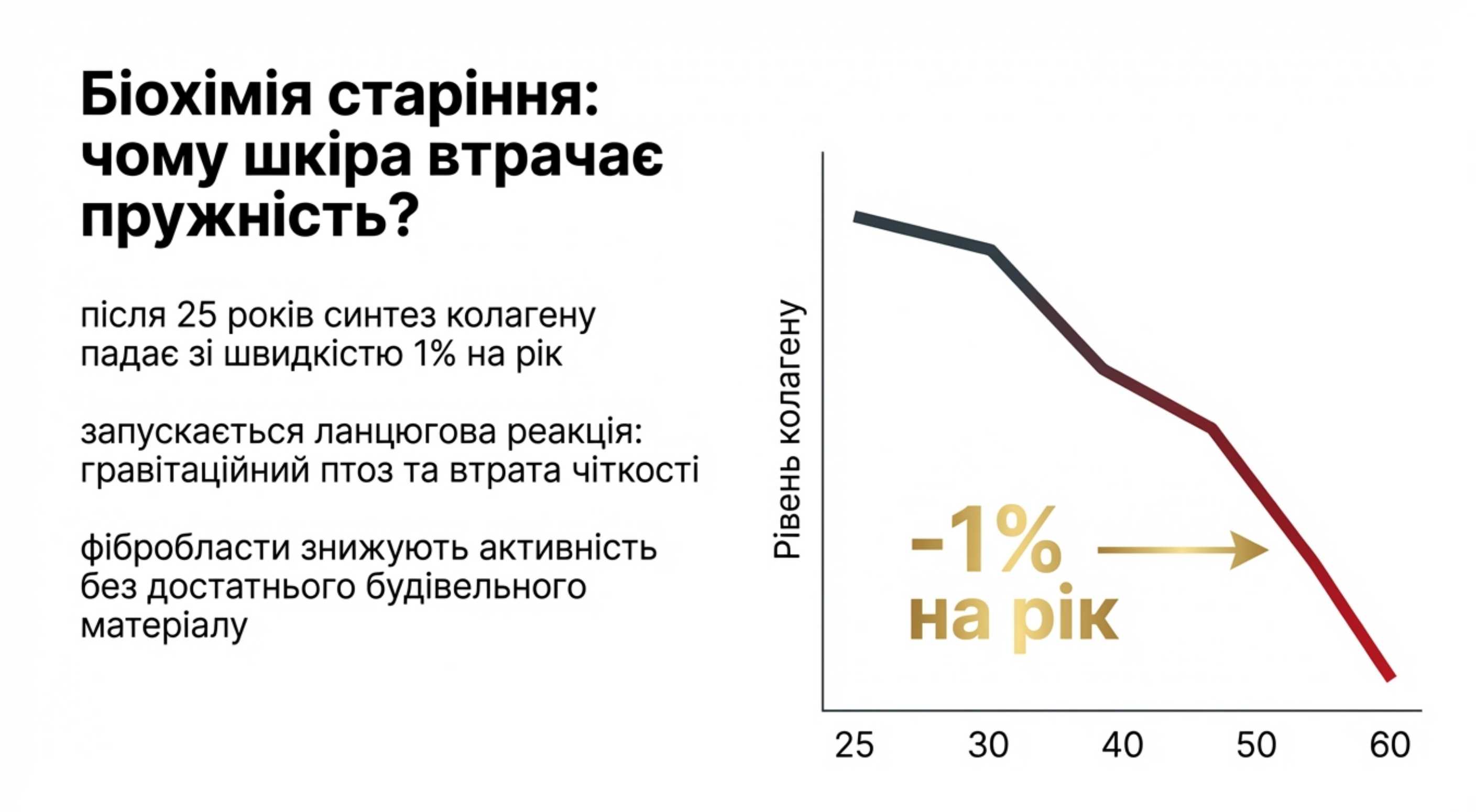 Біохімія структурного каркаса. Основи пружності