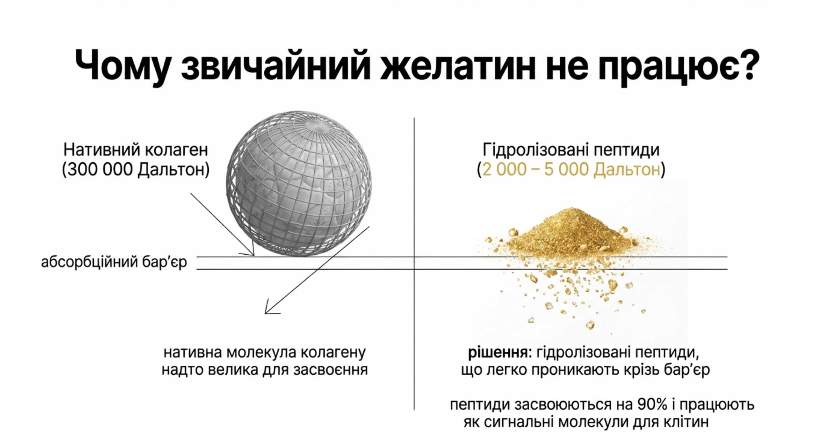 Внутрішня реконструкція. Нутрицевтичні стратегії