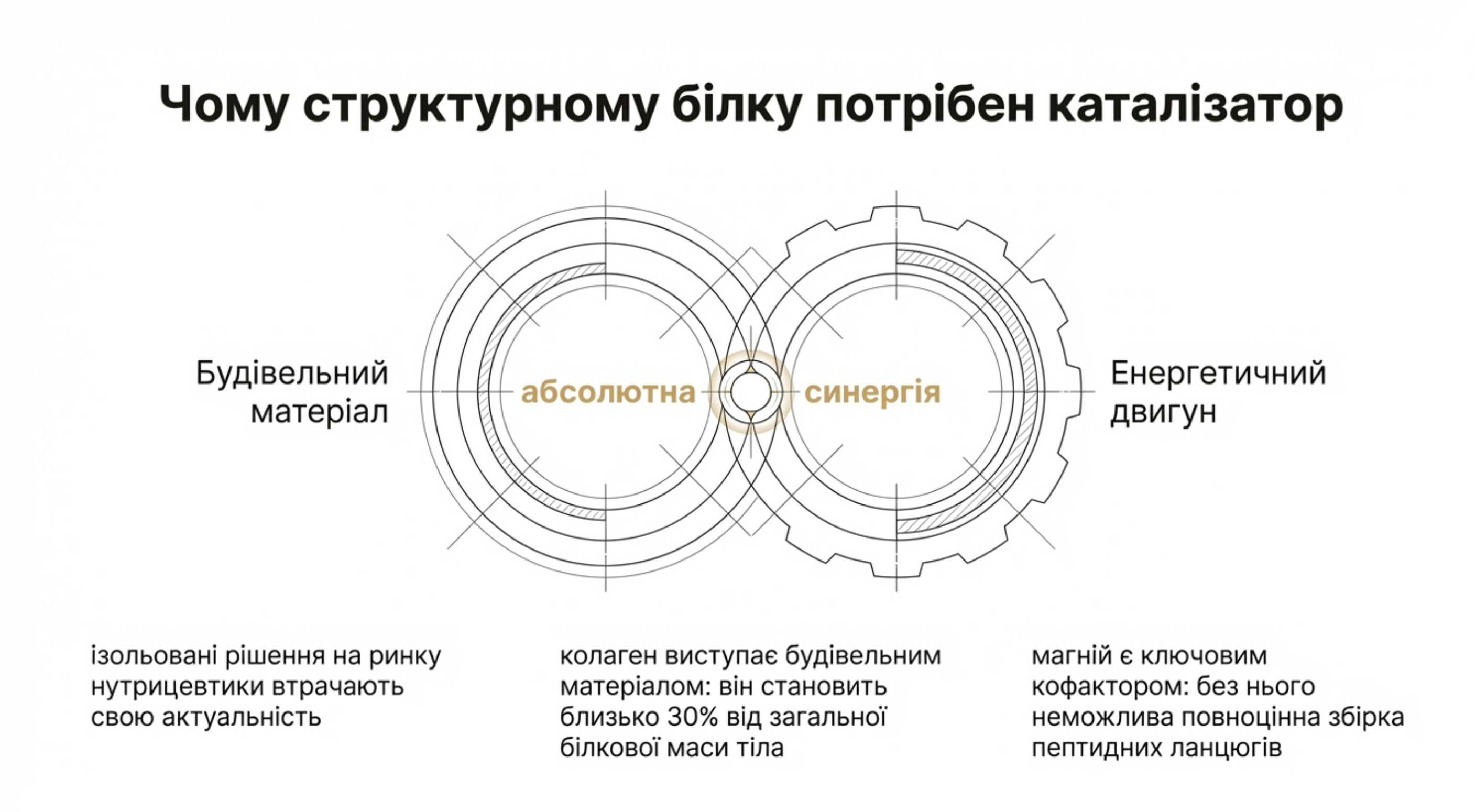 Біохімічна основа. Чому структурному білку потрібен каталізатор