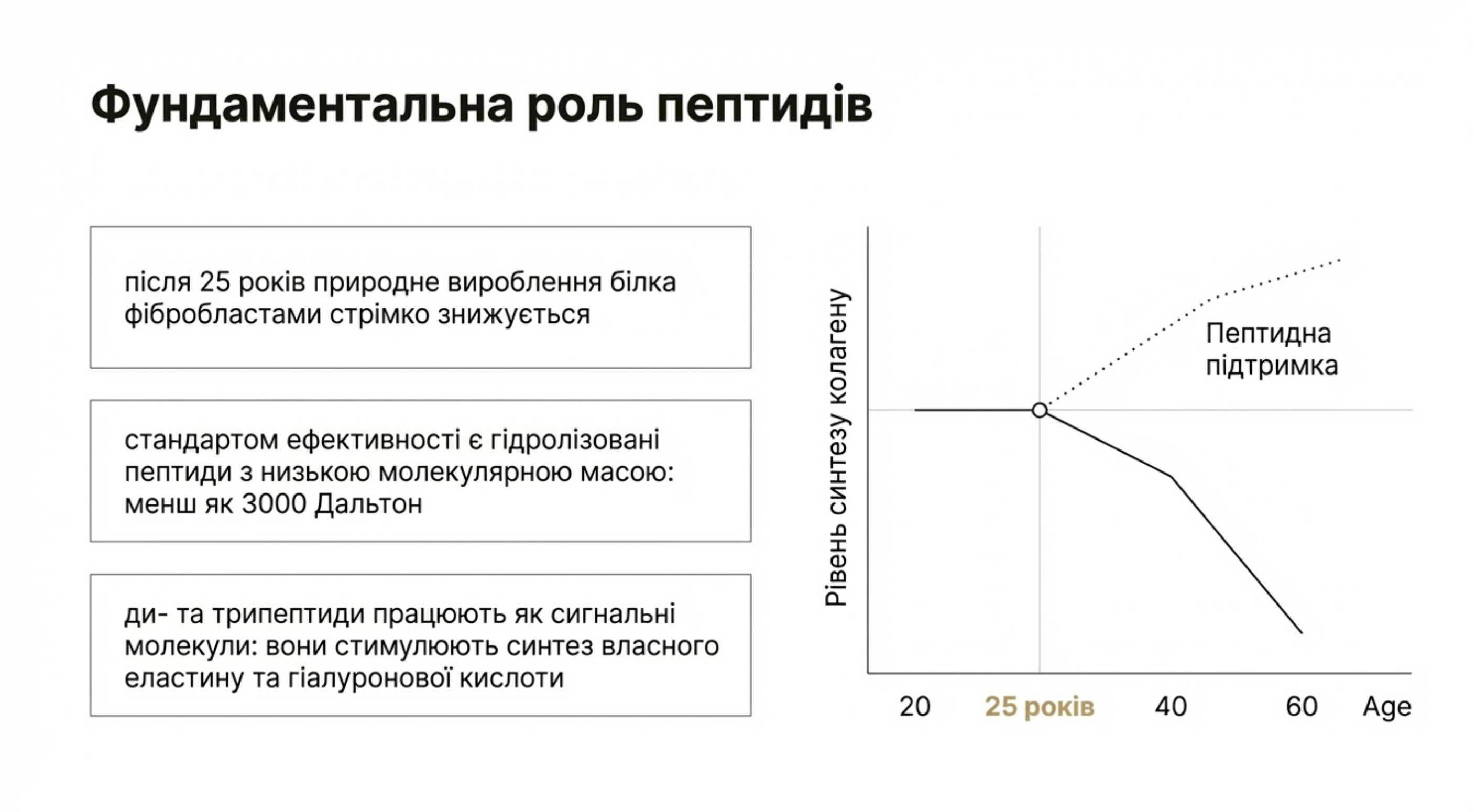 Фундаментальна роль пептидів