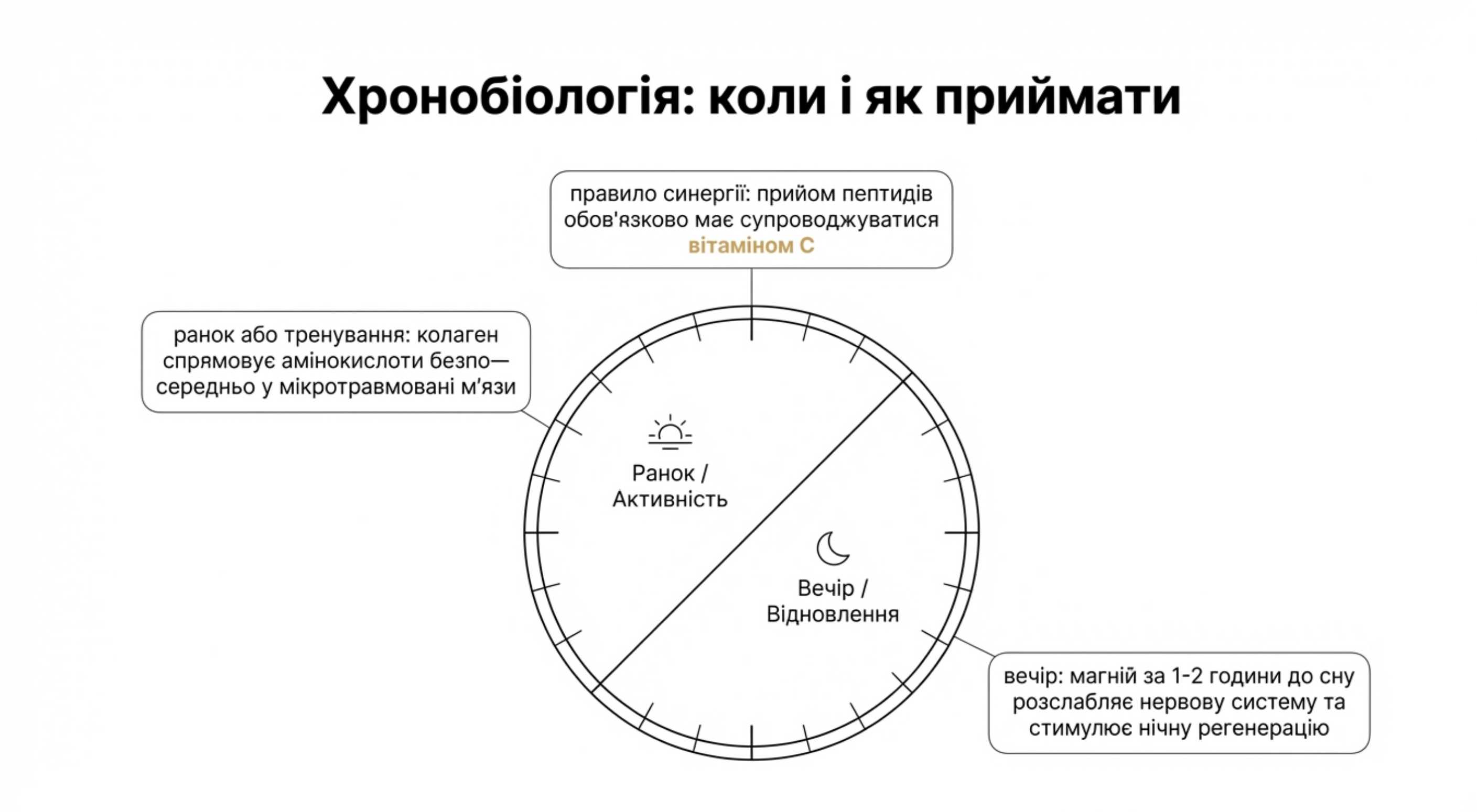 Хронобіологія. Коли приймати?