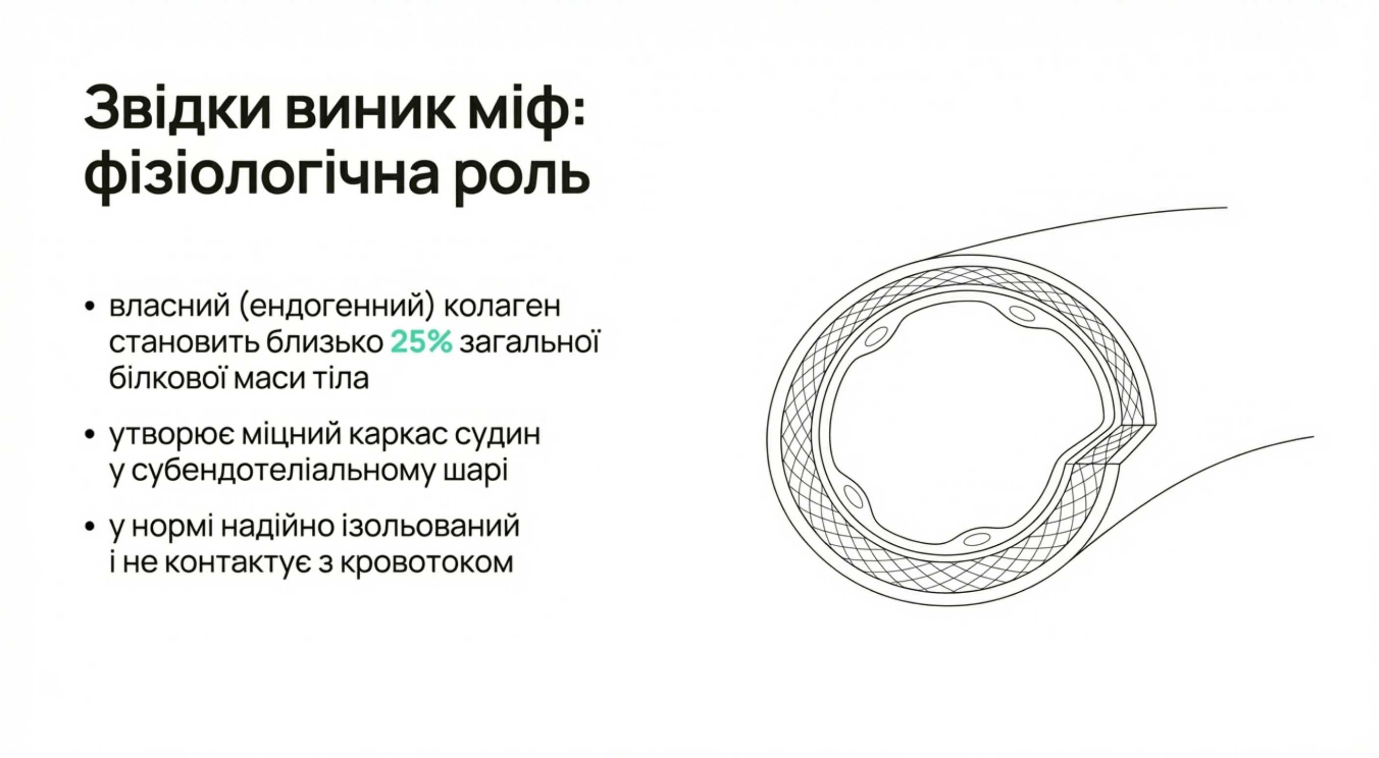 Звідки виник міф. Фізіологічна роль ендогенного коллагена