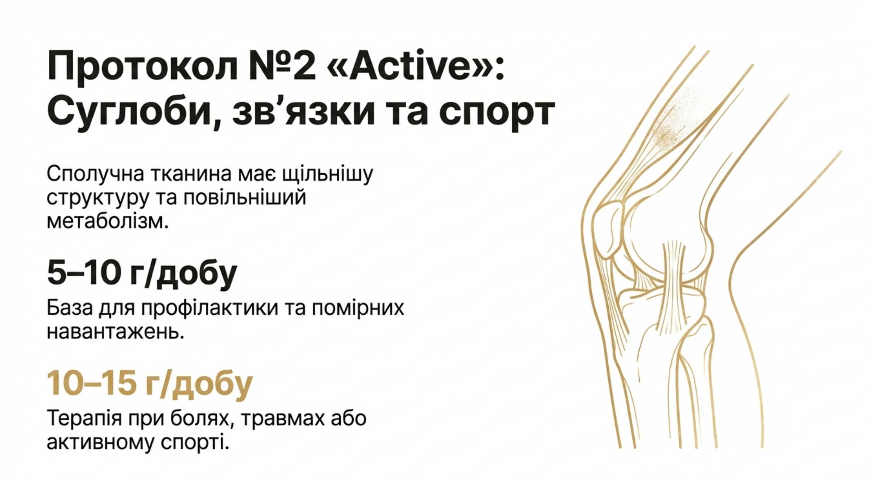 2. Протокол 