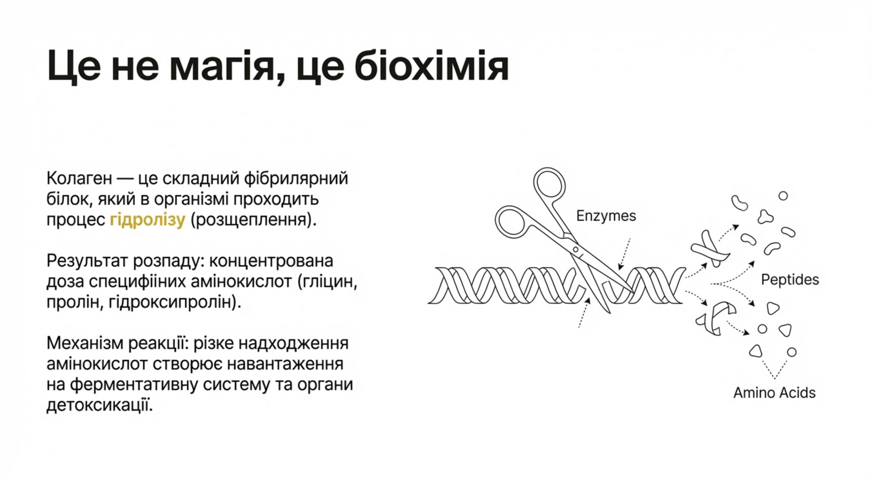 Фізіологія засвоєння. Чому виникають реакції