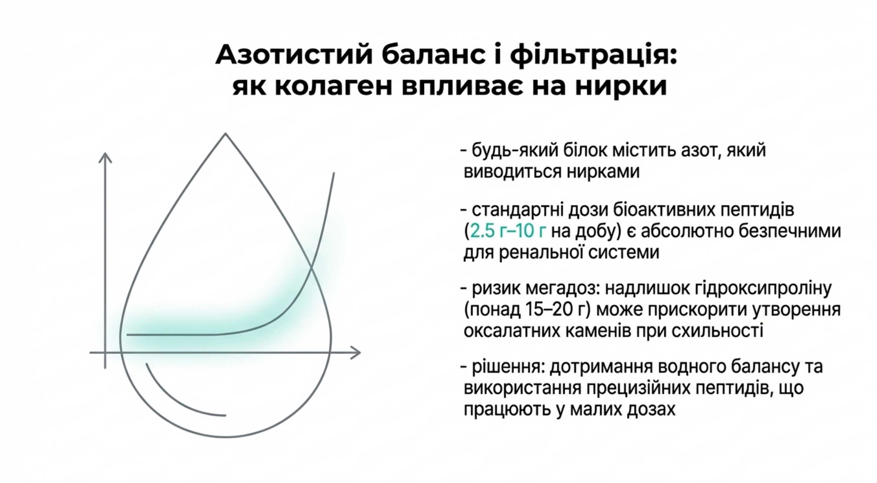 Азотистий баланс і фільтрація. Як колаген впливає на нирки?