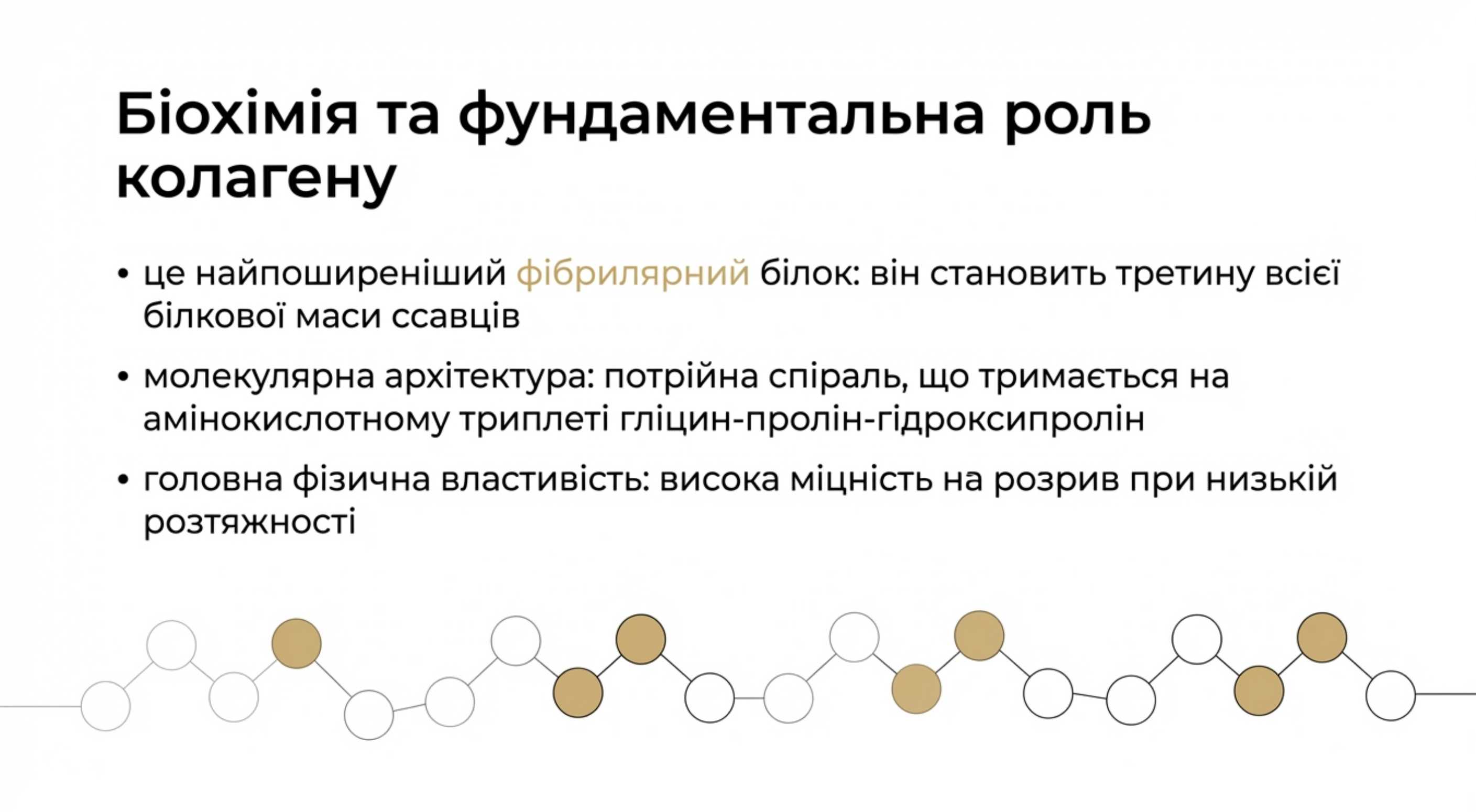Що таке структурний білок. Біохімія та фундаментальна роль