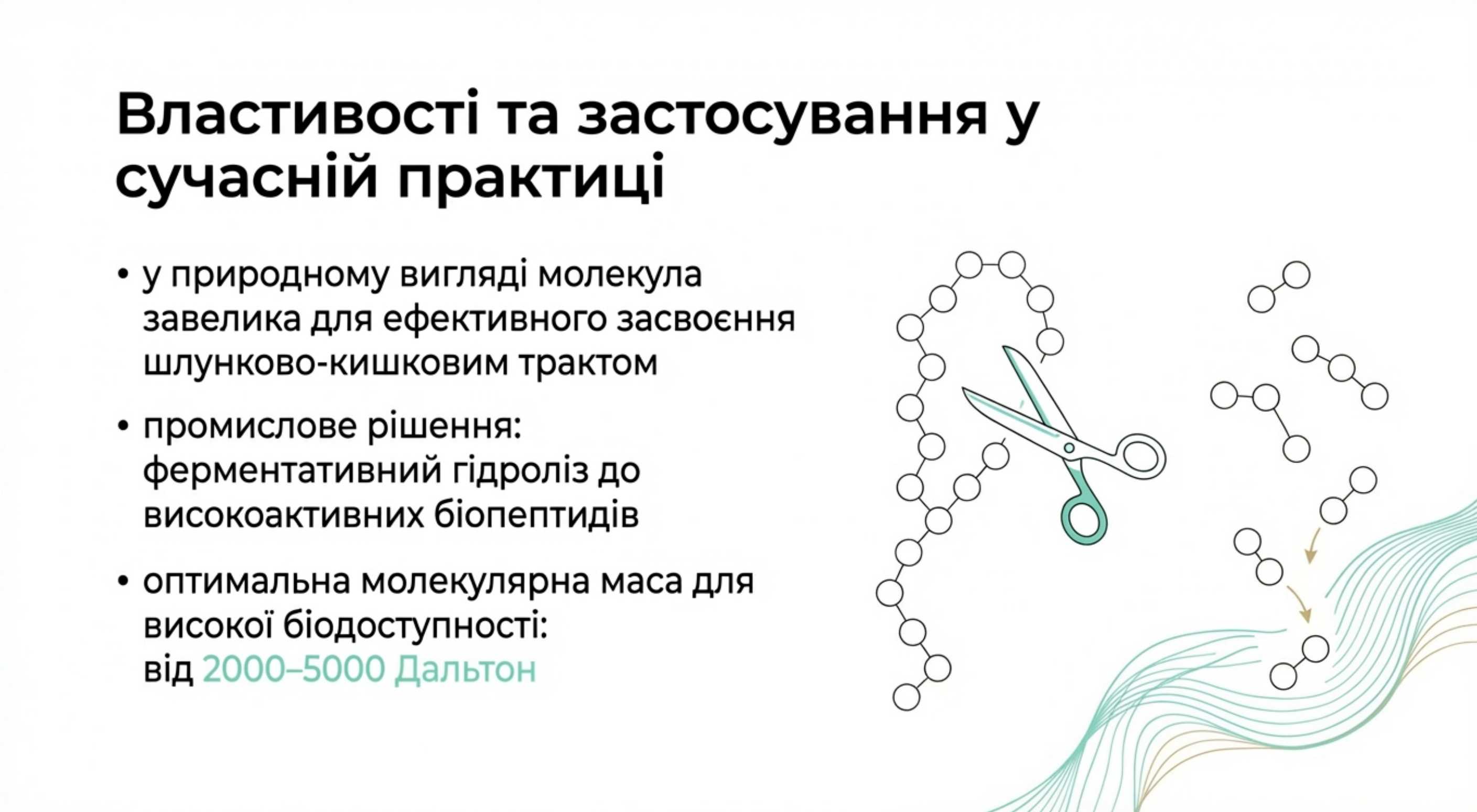 Колаген властивості та застосування в сучасній практиці