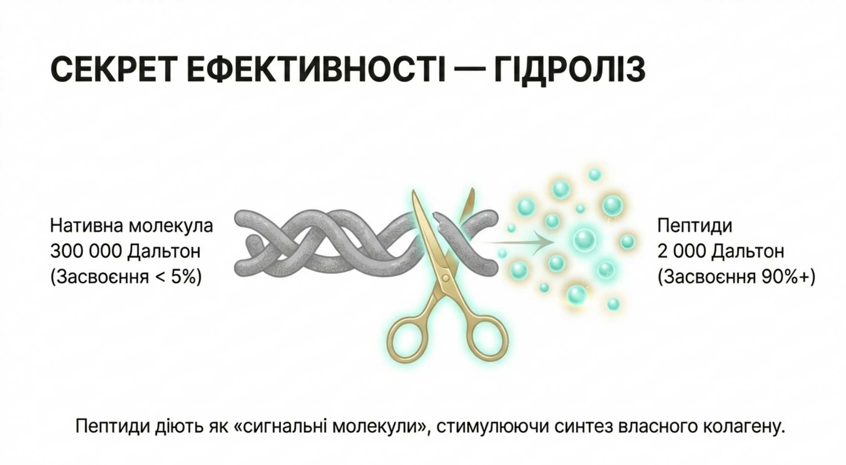 Гідроліз і біодоступність. Який коллаген краще приймати для шкіри