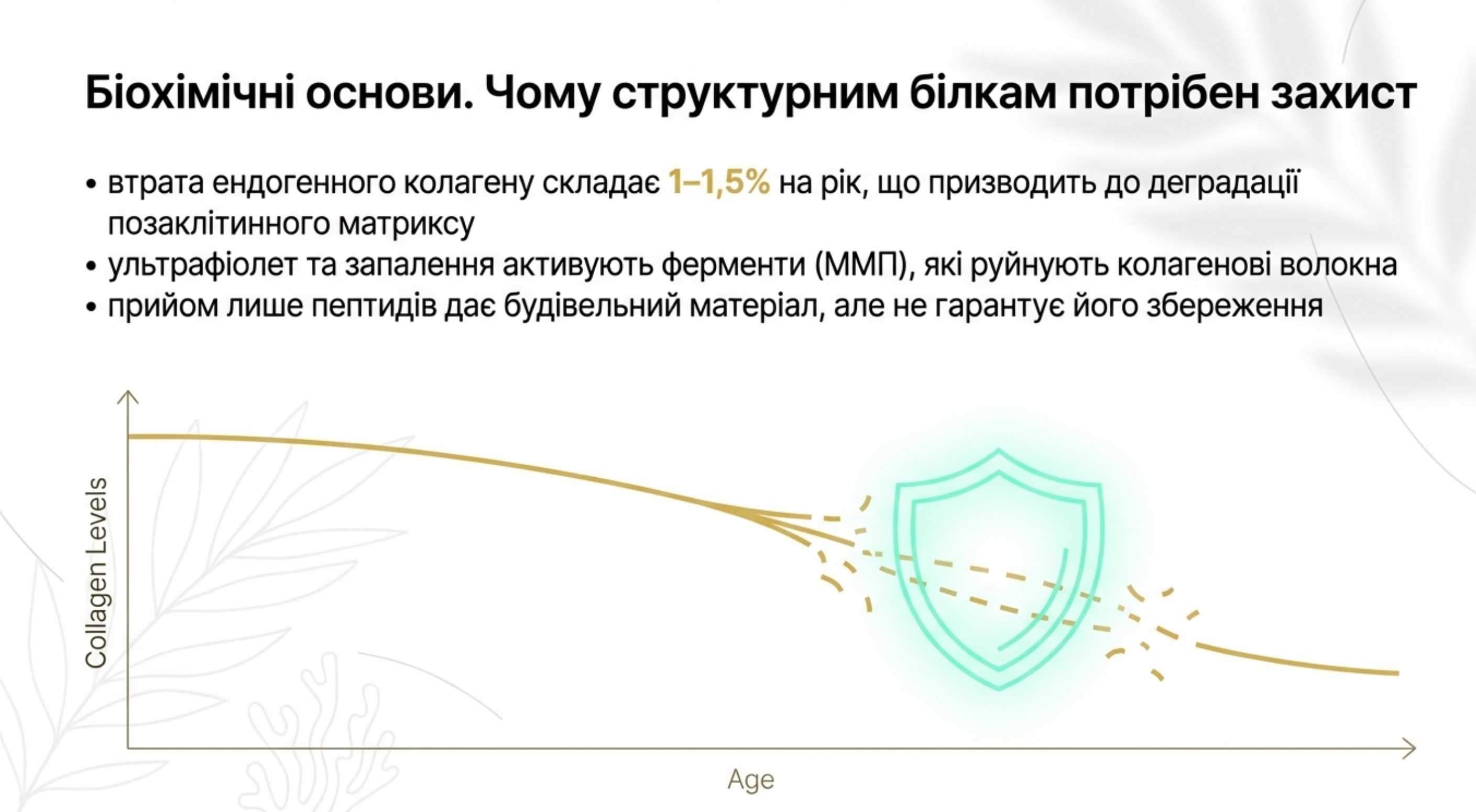 Біохімічні основи. Чому структурним білкам потрібен захист