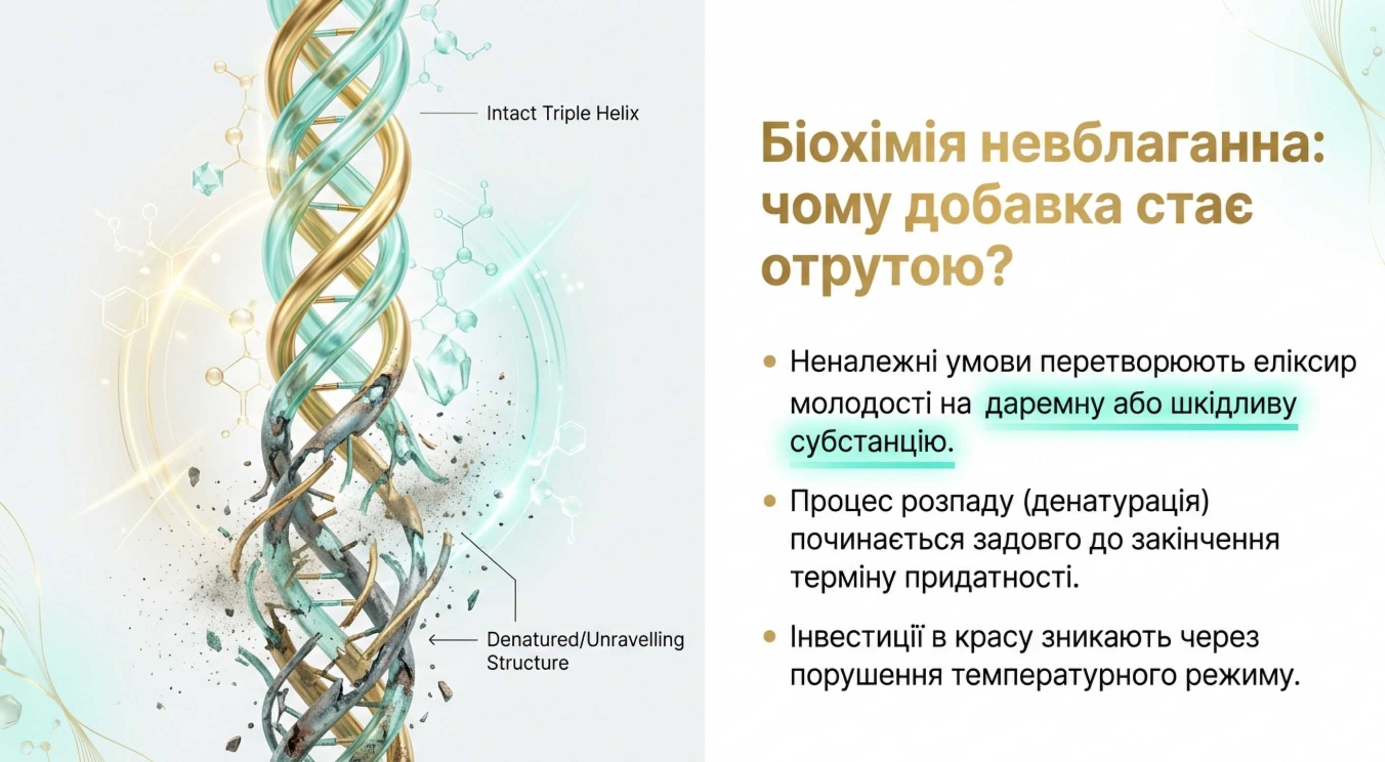 Біохімія стабільності. Чому коллаген псується?