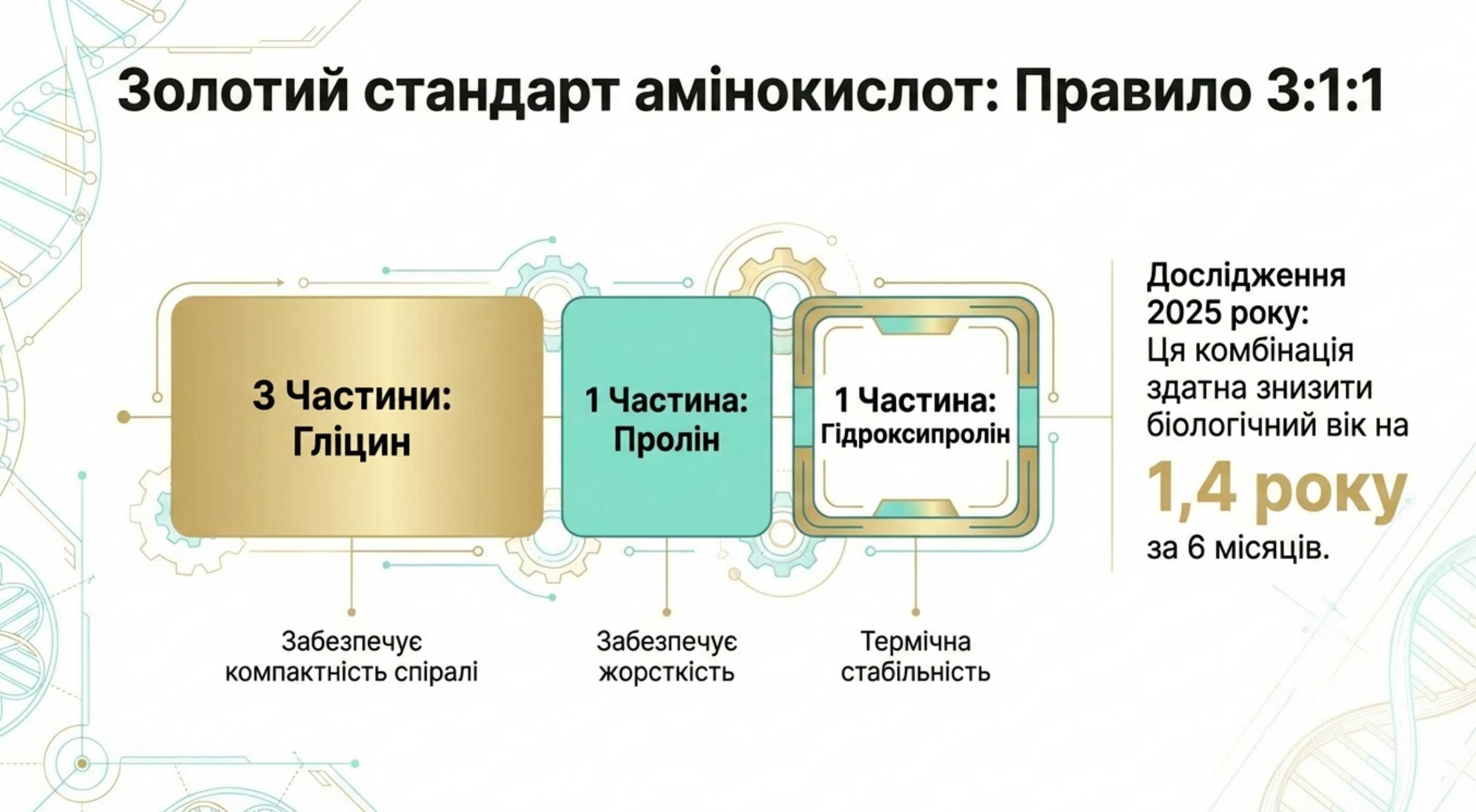 Амінокислоти для синтезу коллагена. Правило 3:1:1