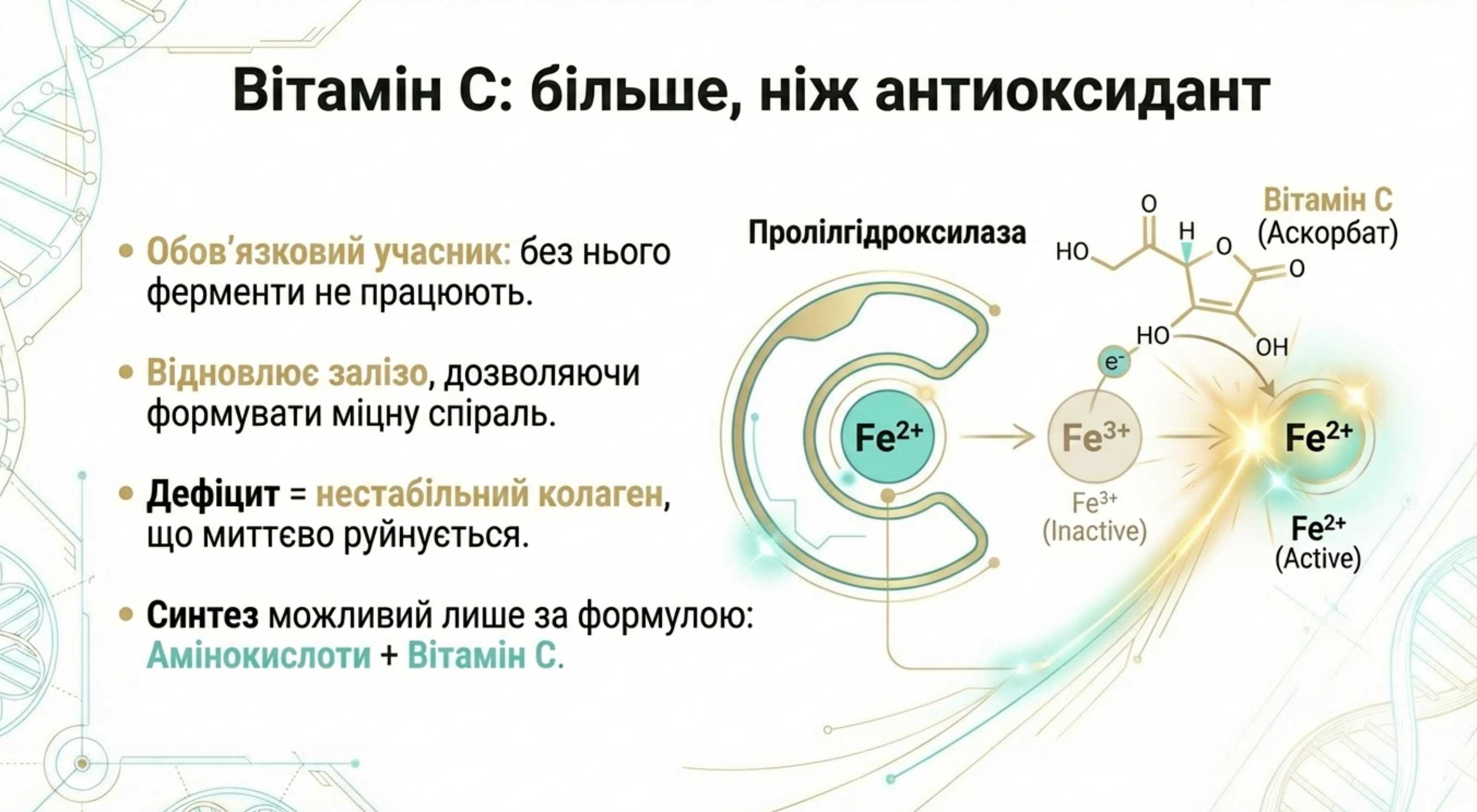 Вітамін С і синтез коллагена. Більше, ніж антиоксидант