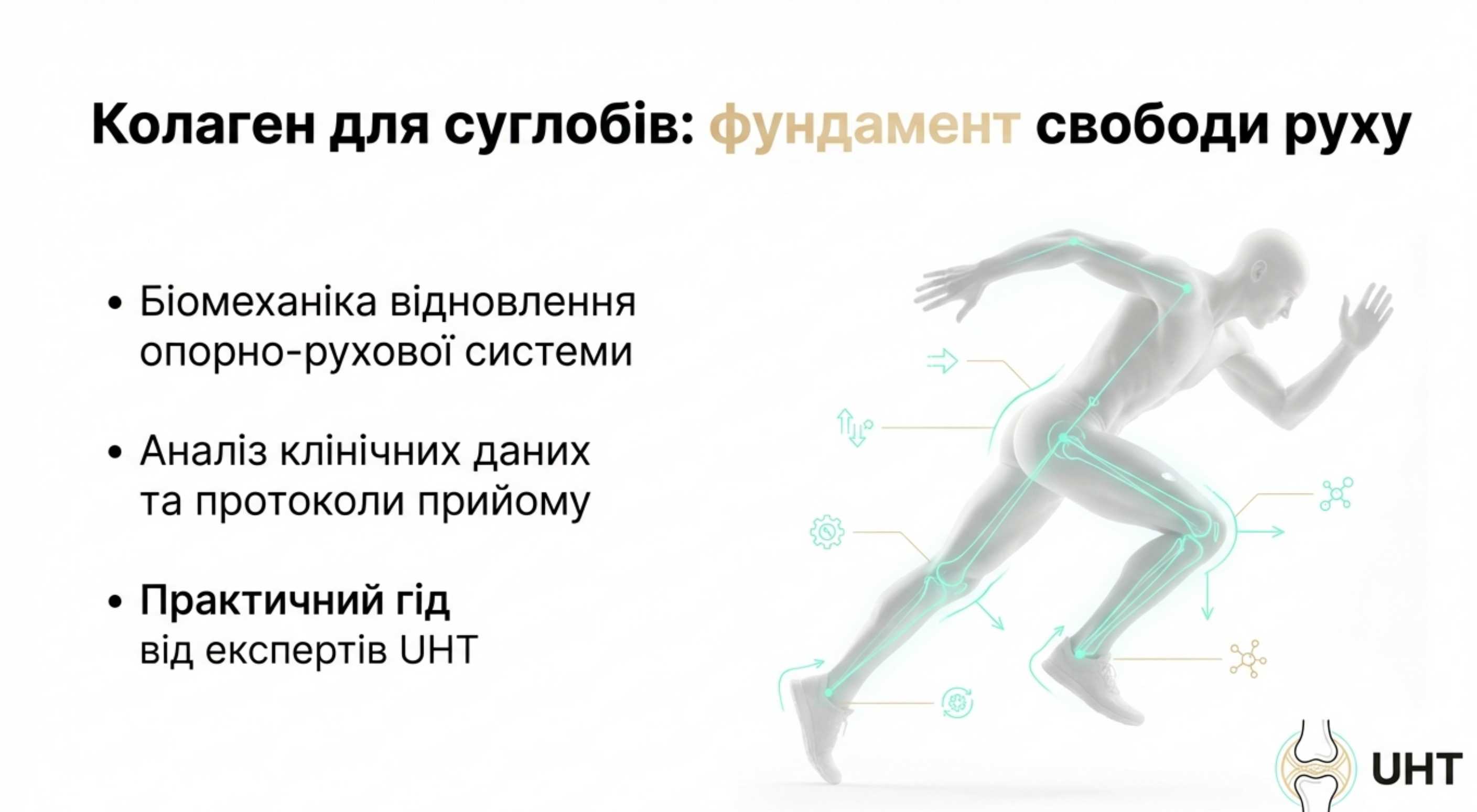 Що таке коллаген для суглобів. Біохімія і механіка дії