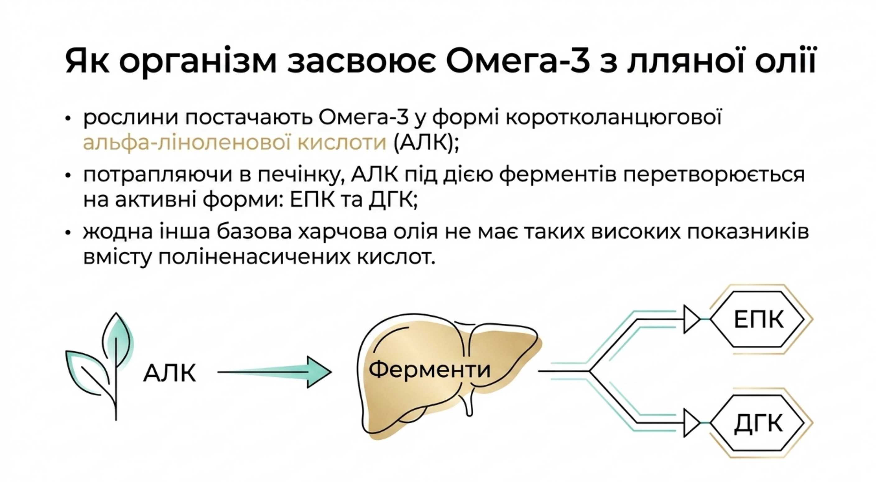 Біохімія продукту. Льняне масло це омега 3?