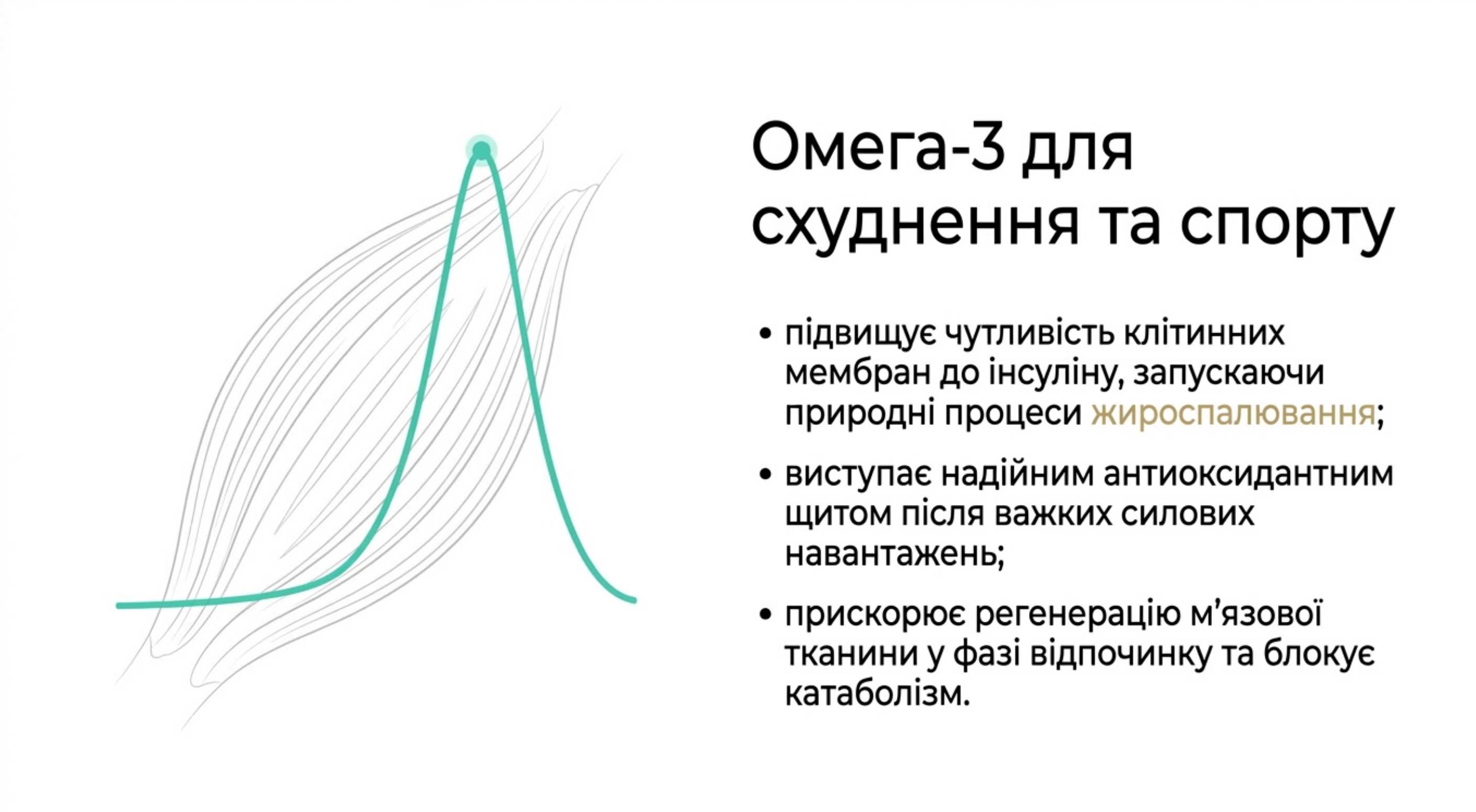 Риб'ячий жир та льняне масло для схуднення та бодібілдинга