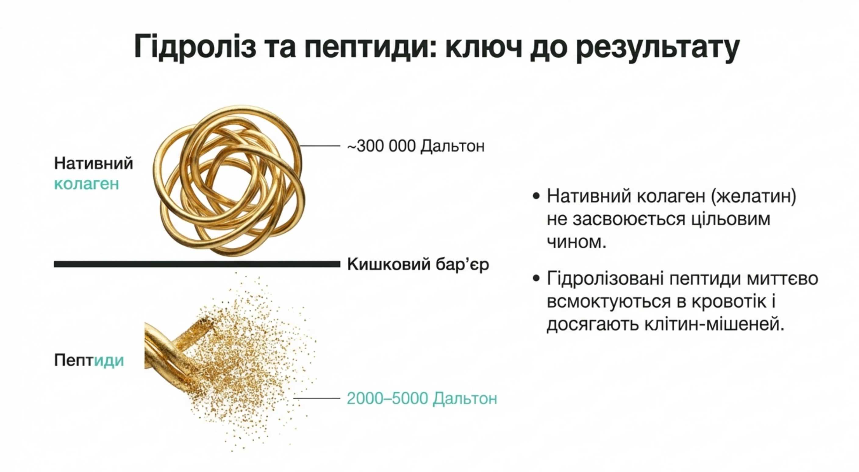 Біодоступність і гідроліз. Ключ до повноцінного засвоєння